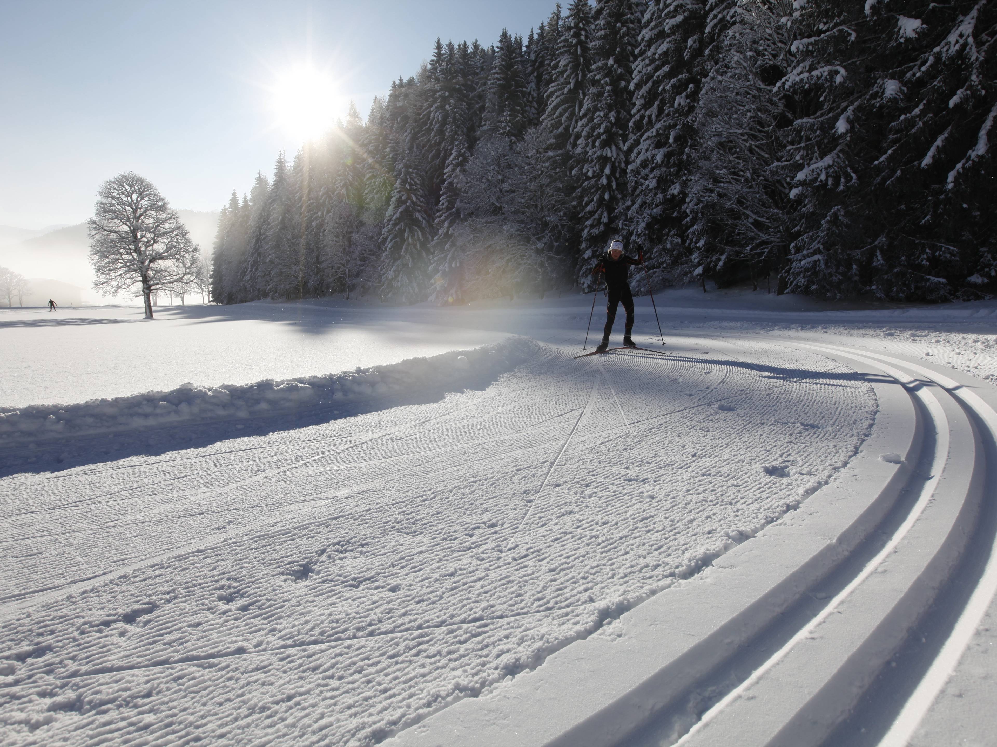 Loipenzauber im Herzen des Salzkammergutes