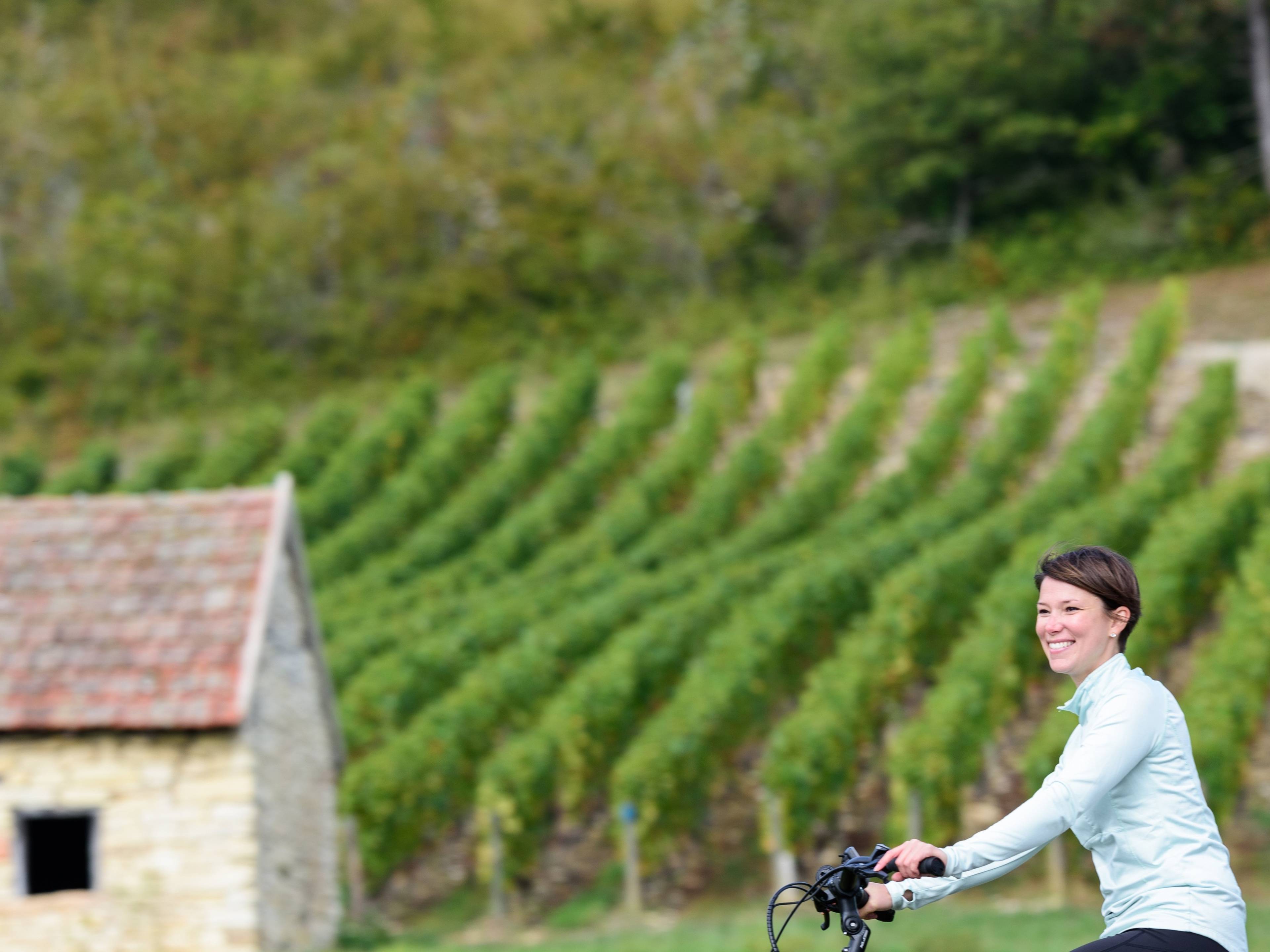 Découverte à vélo du vignoble de Bourgogne du Sud