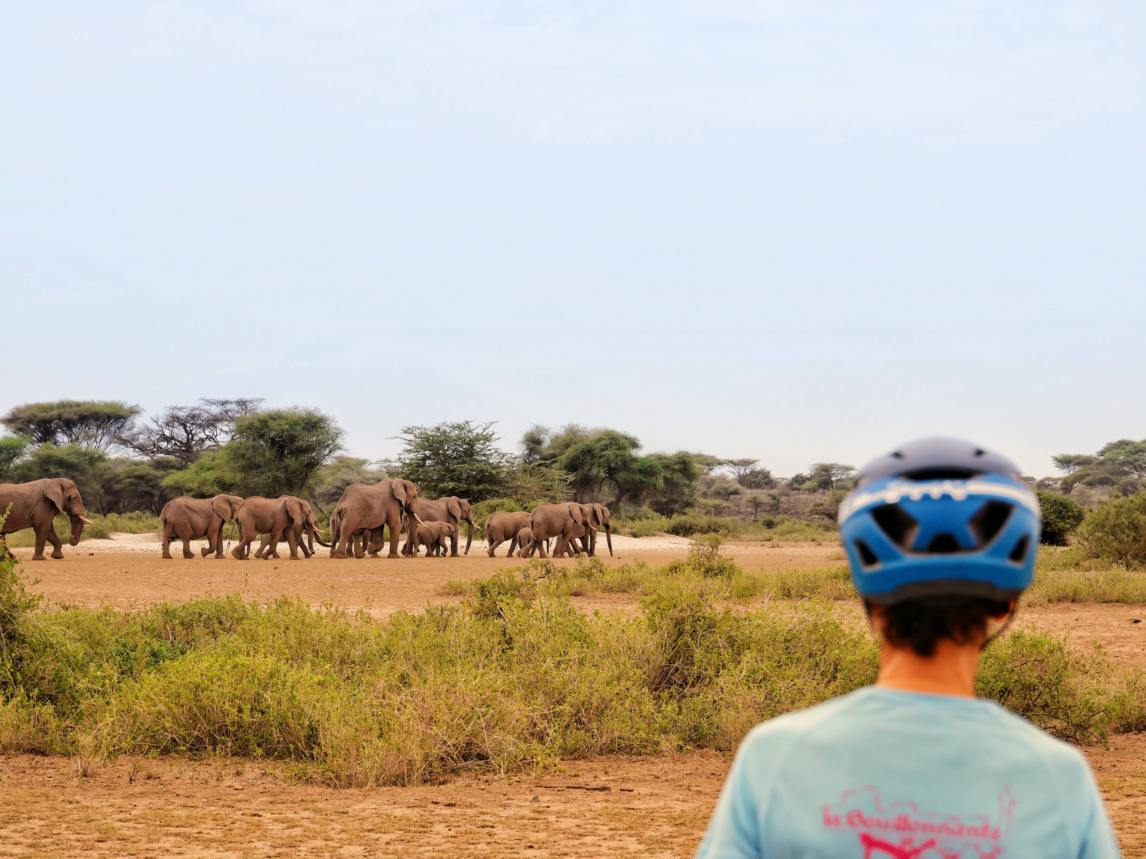 Aventure en bikepacking à travers brousse et villages Maasaï