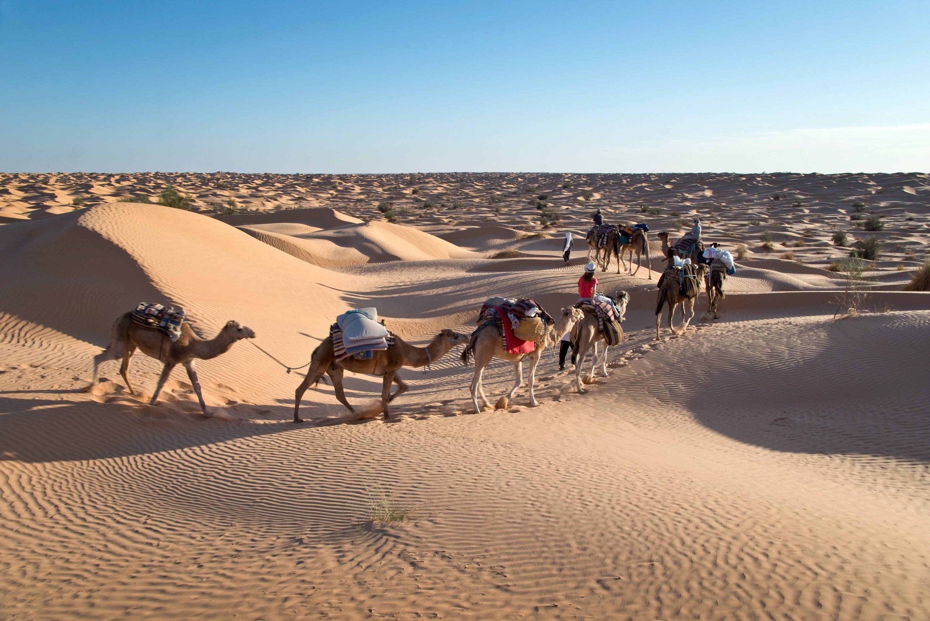 Tour in dromedario nel deserto Erg Chegaga