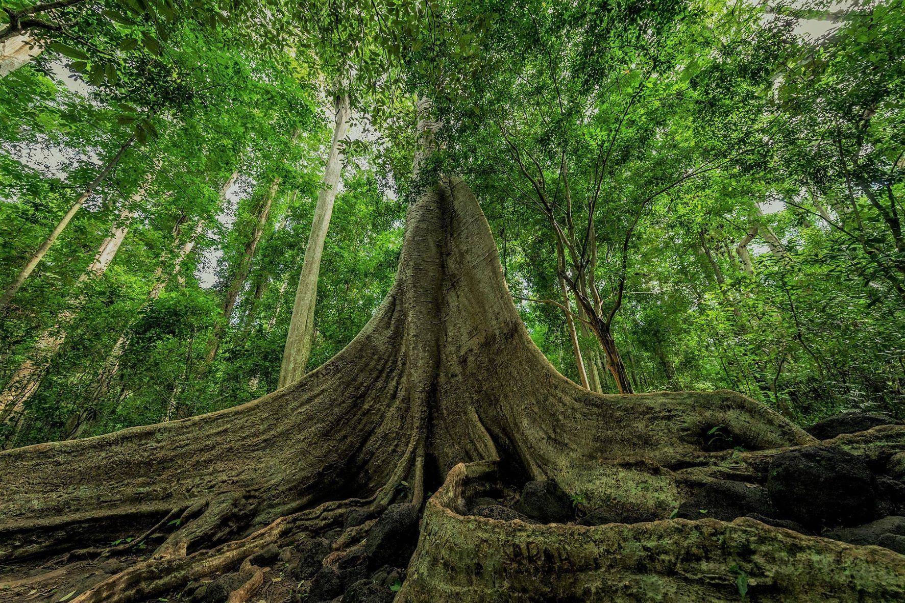 Natura e cultura, esplorazioni fino all'estremo Sud del paese