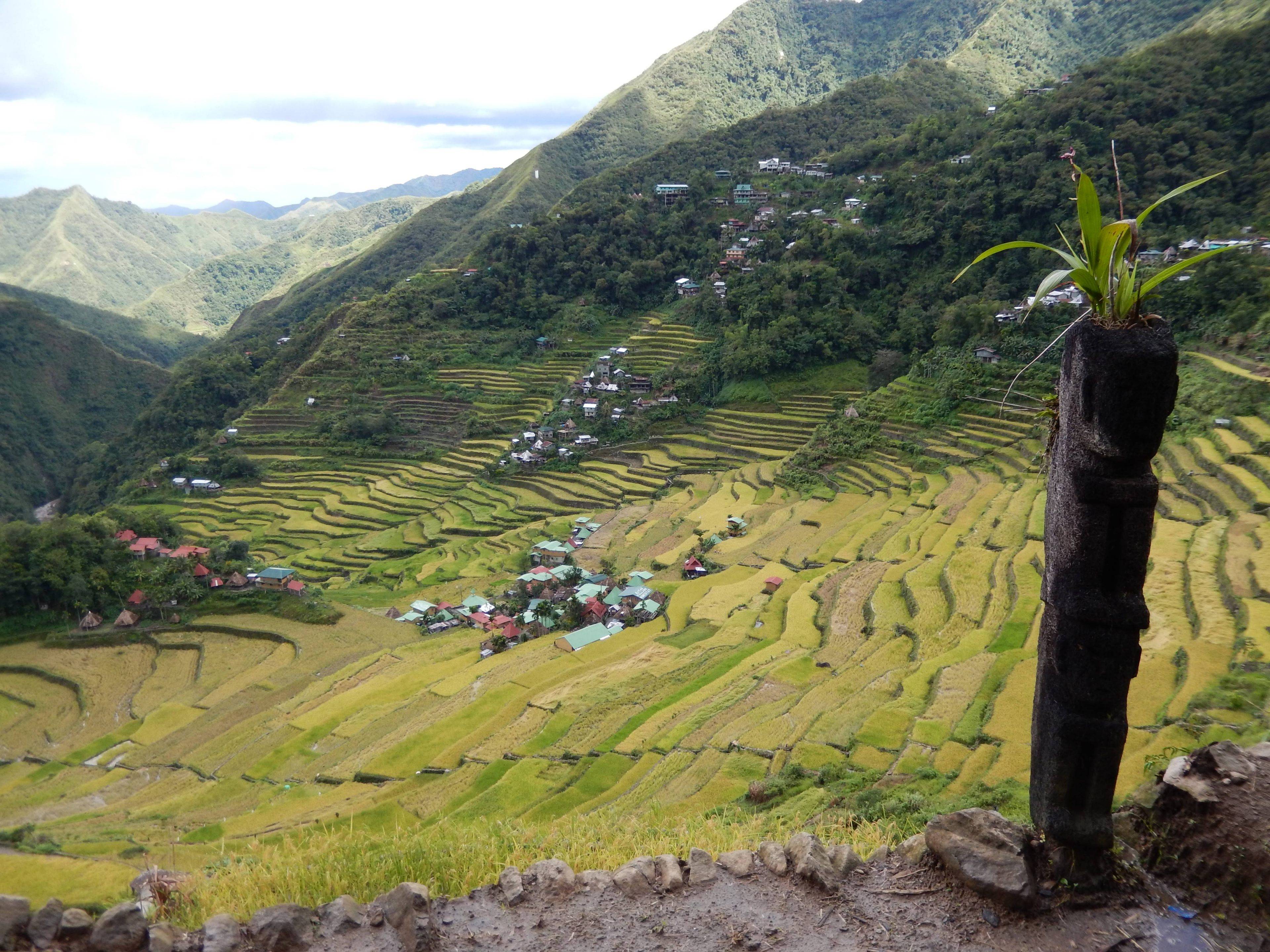 Des rizières en terrasses au joyau de Palawan