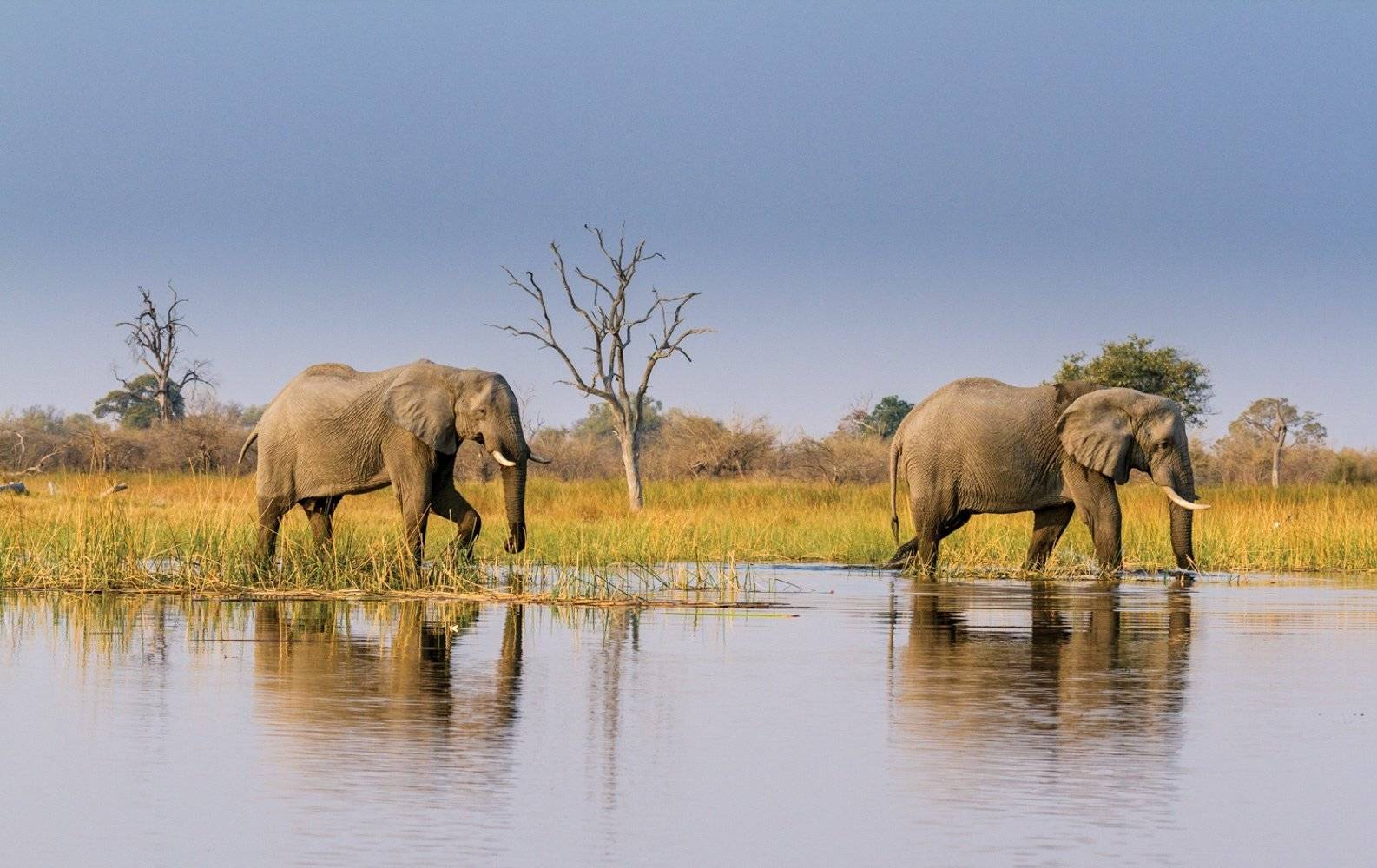 Un viaggio di scoperta in self drive tra Botswana e Namibia