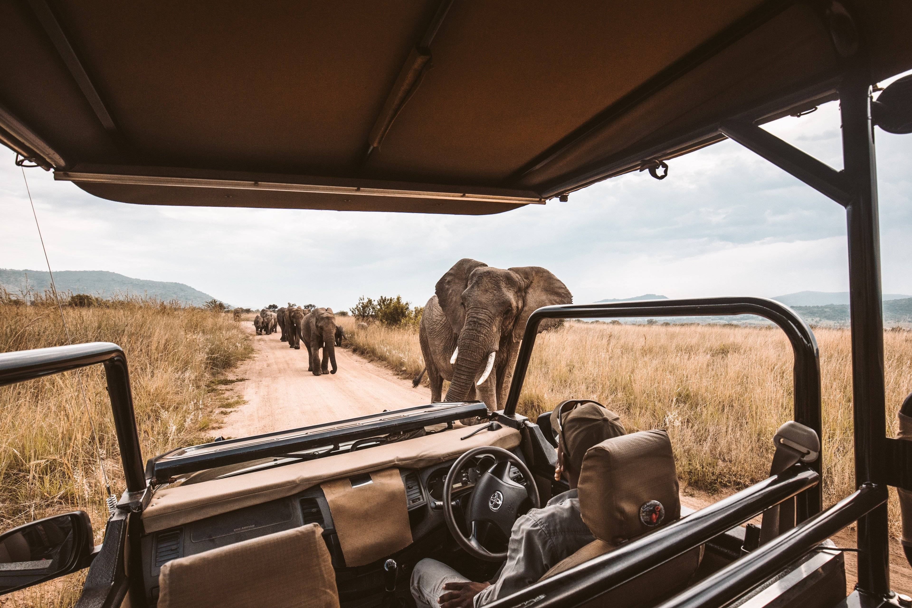 Safari et randonnées dans les montagnes d'Usambara