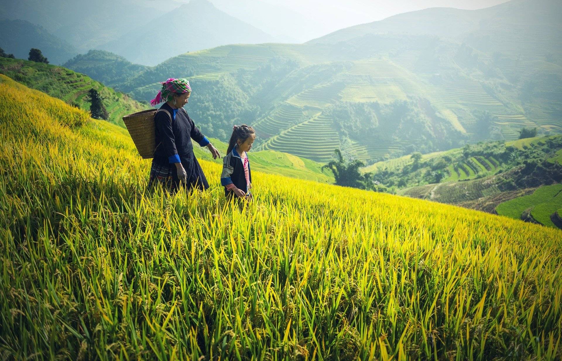 Viaggio in Tre Paesi del Sud-Est Asiatico