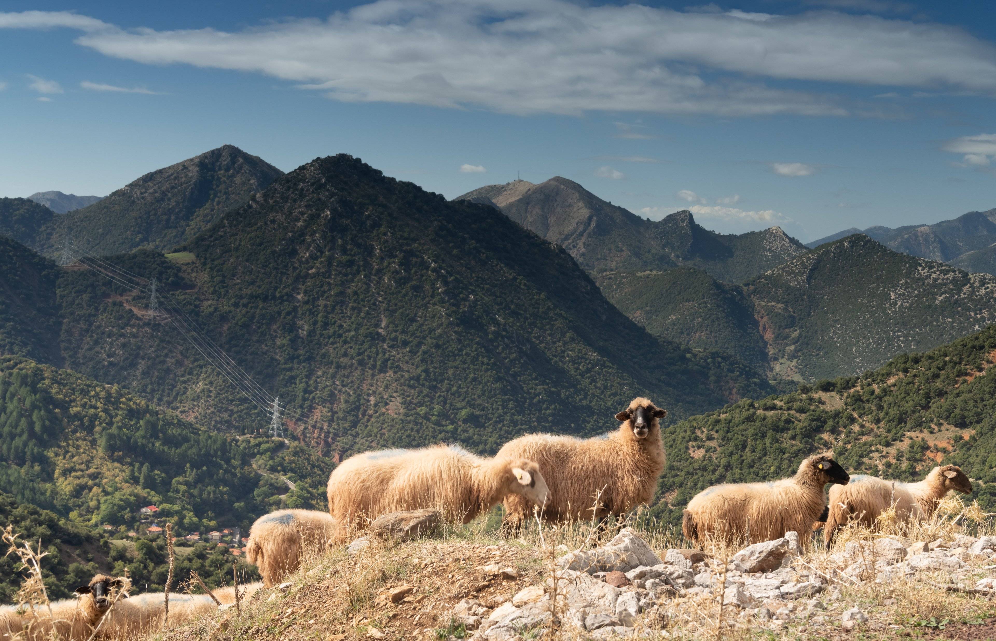 Tra mare e montagna: bellezze nascoste