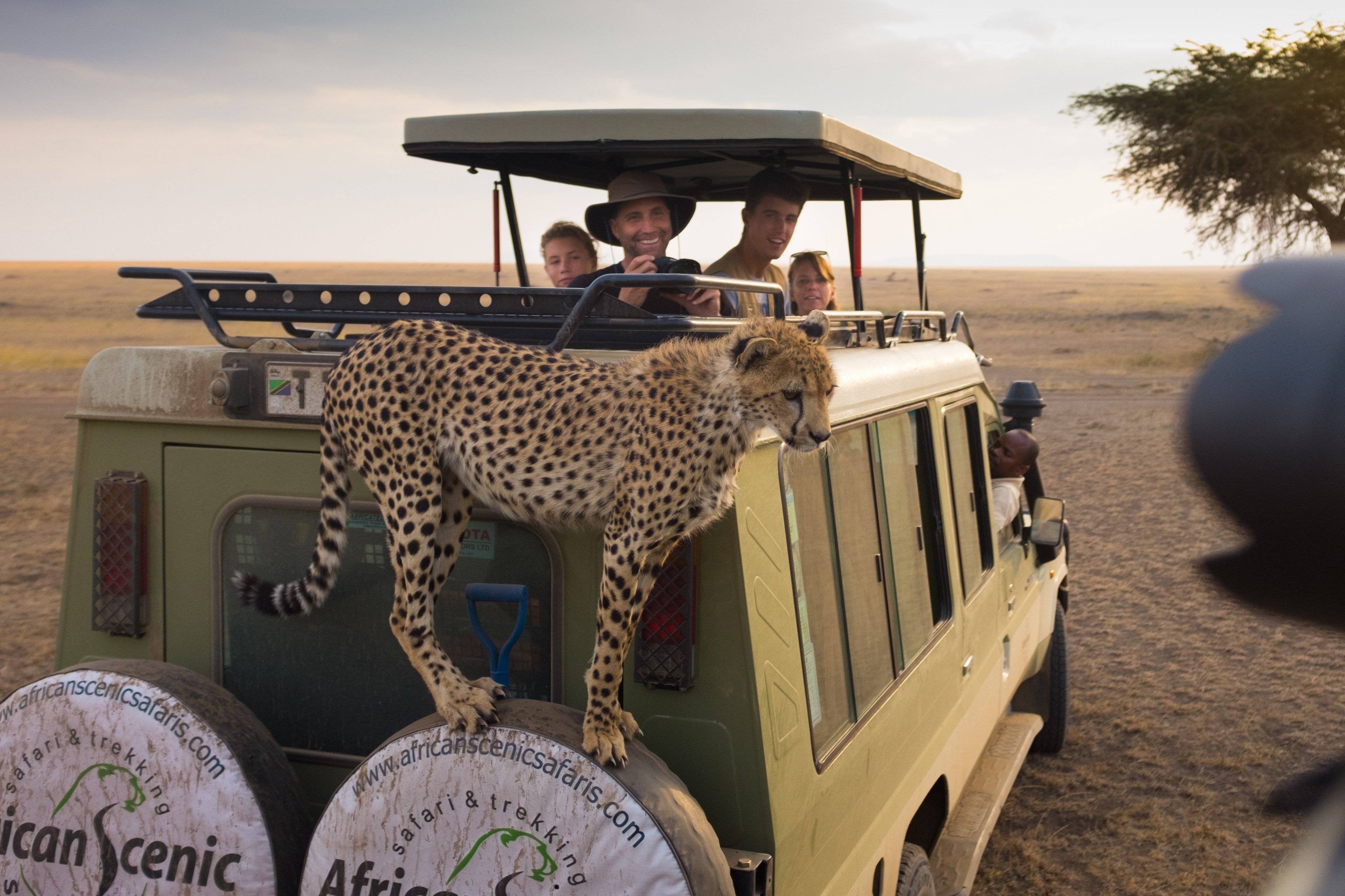 Safari da sogno e mare cristallino di Zanzibar!