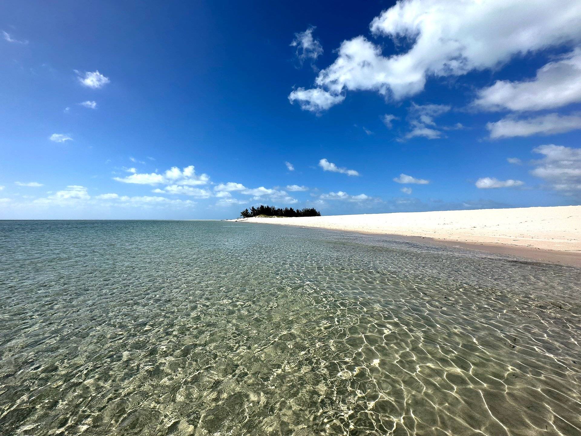 Luna di miele tra safari e spiagge tropicali