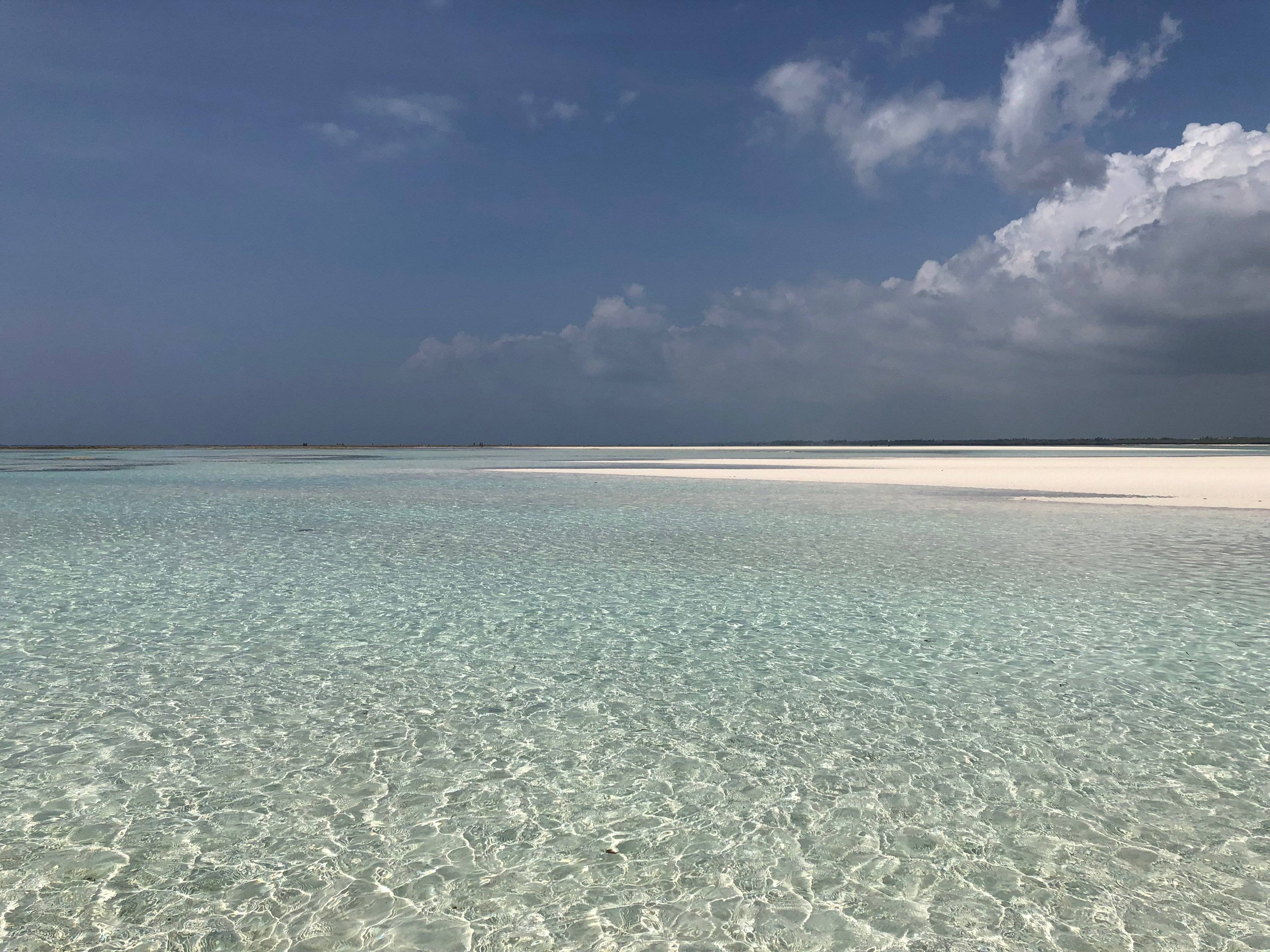 Da Nord a Sud: un'avventura vista oceano!