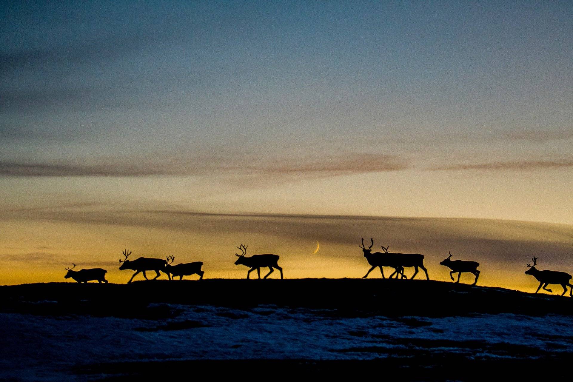 Benvenuti nella terra dei Sami