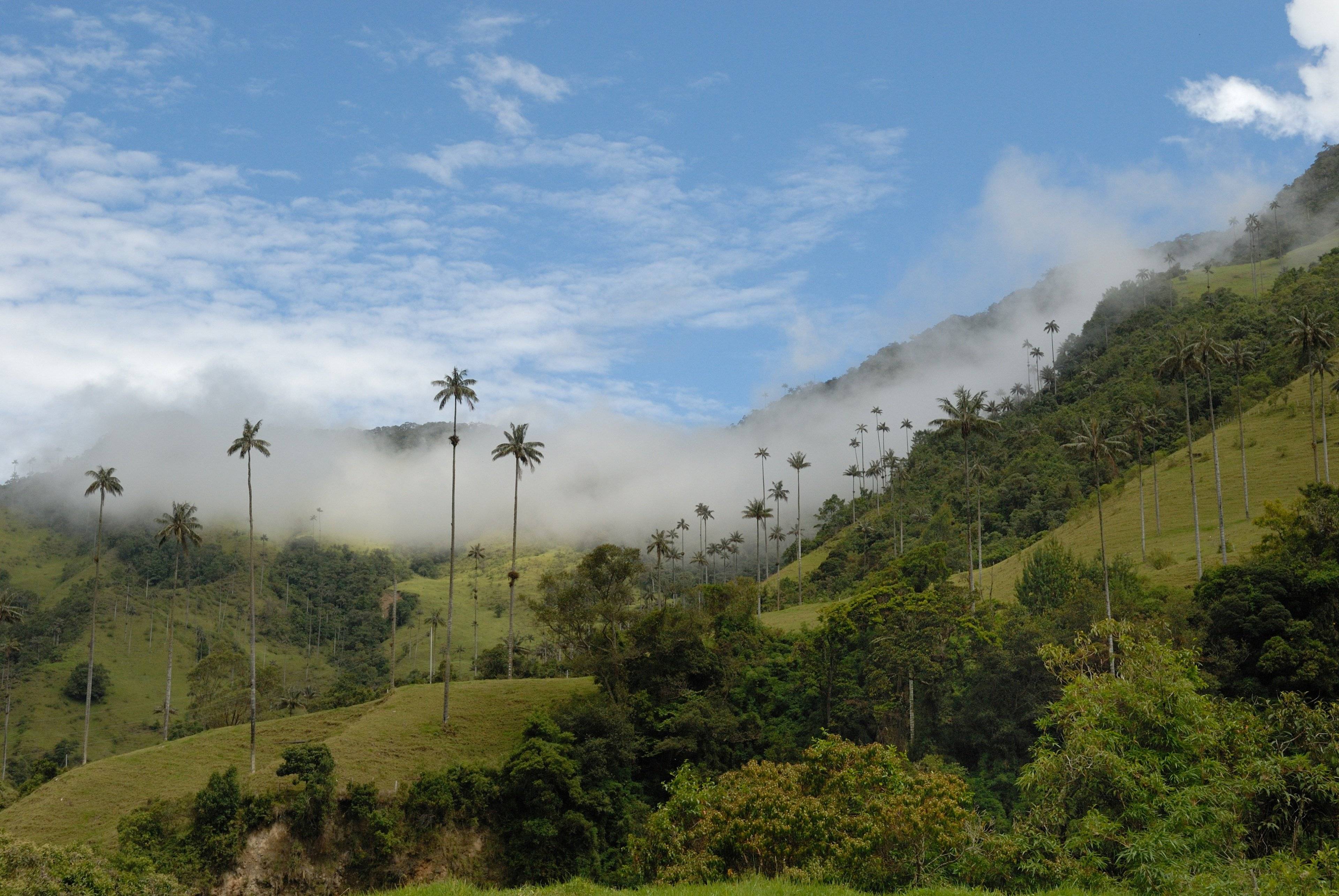 Andesdorpen, koffie en het Caribisch gebied