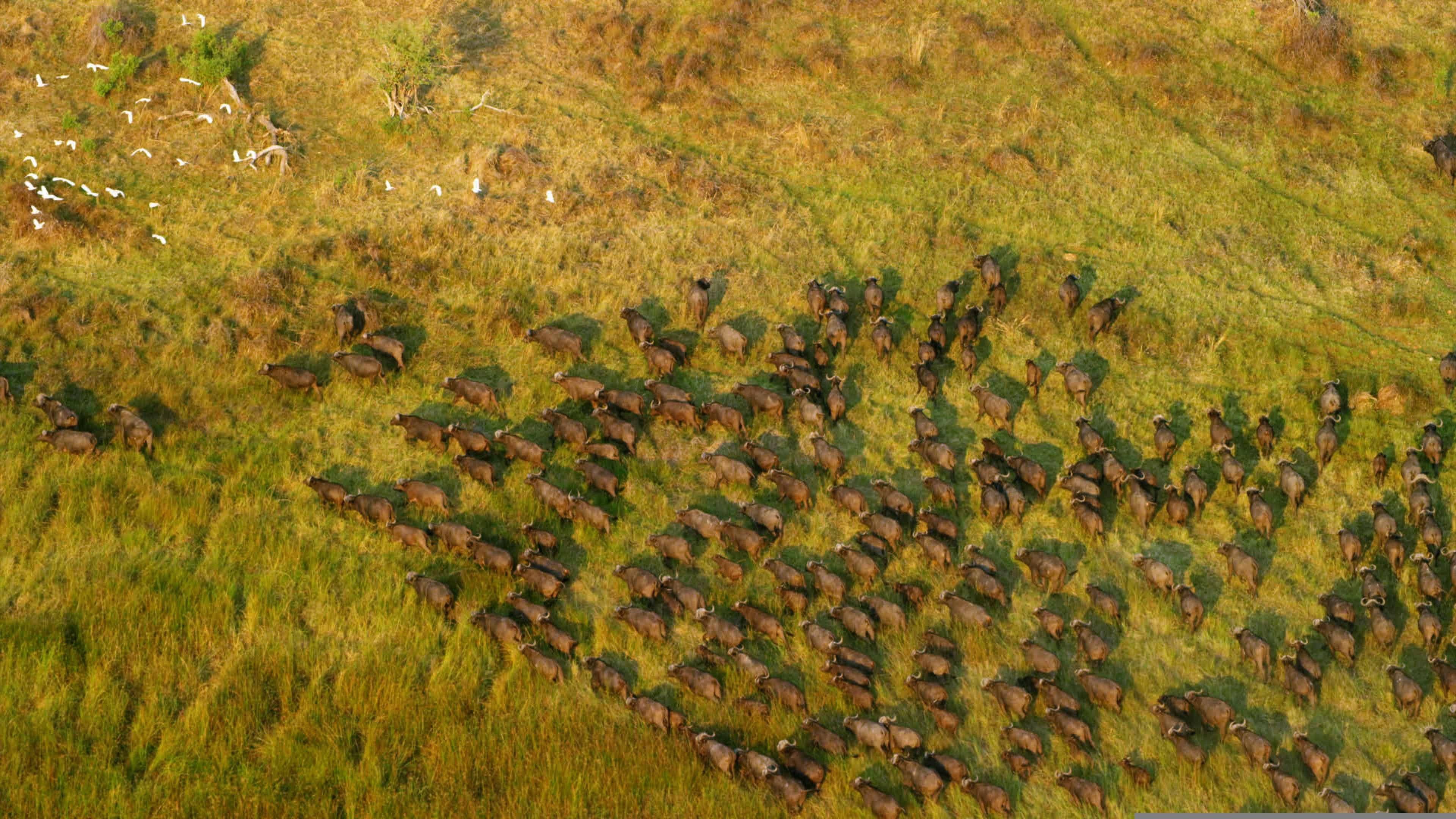 Entre ciel et terre, vers le delta de l'Okavango