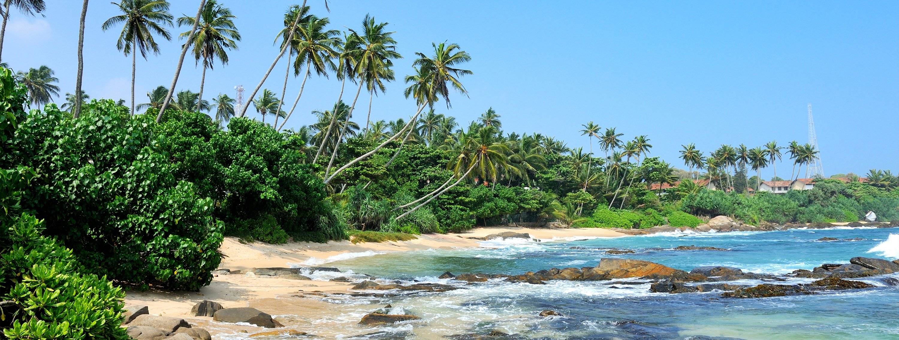 Explora Sri Lanka: Naturaleza, Templos y Playas