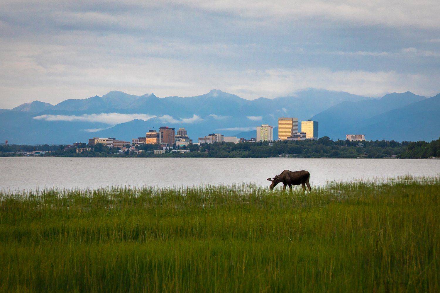 Tour dell'Alaska in piccolo gruppo