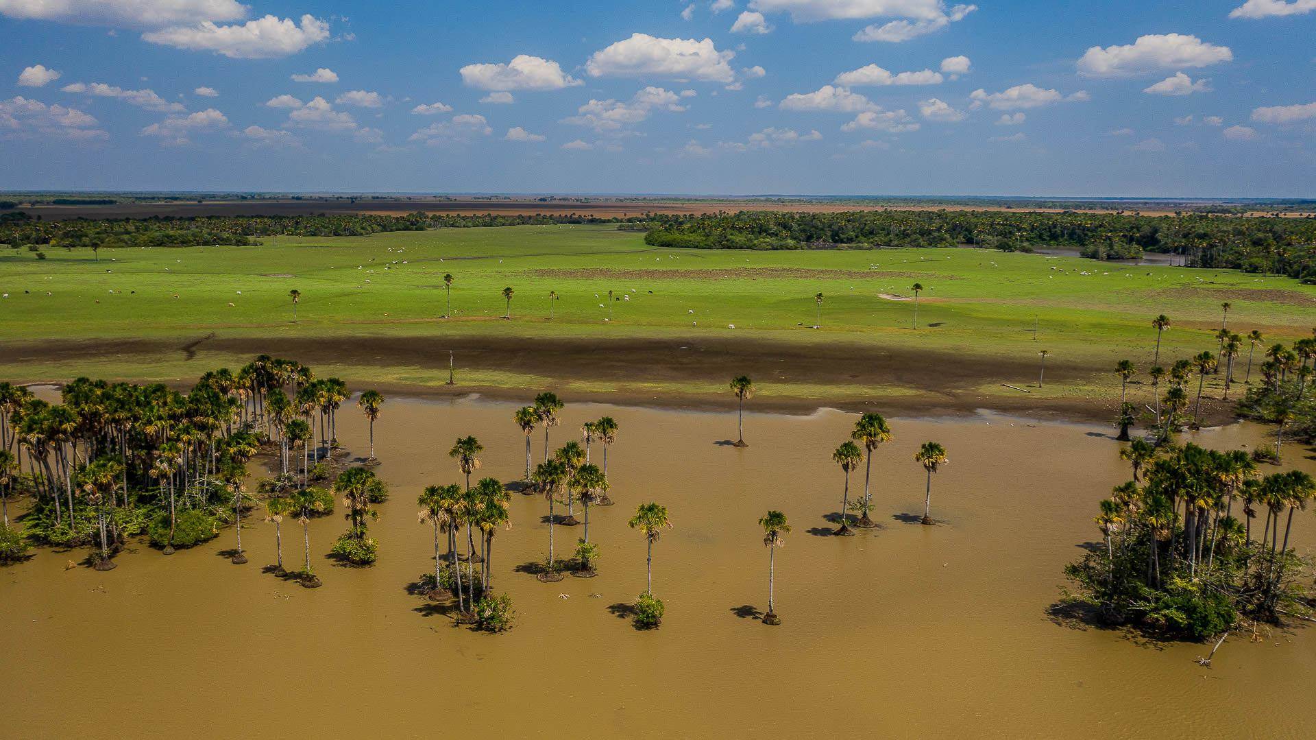 Colombie sauvage : nature et animaux