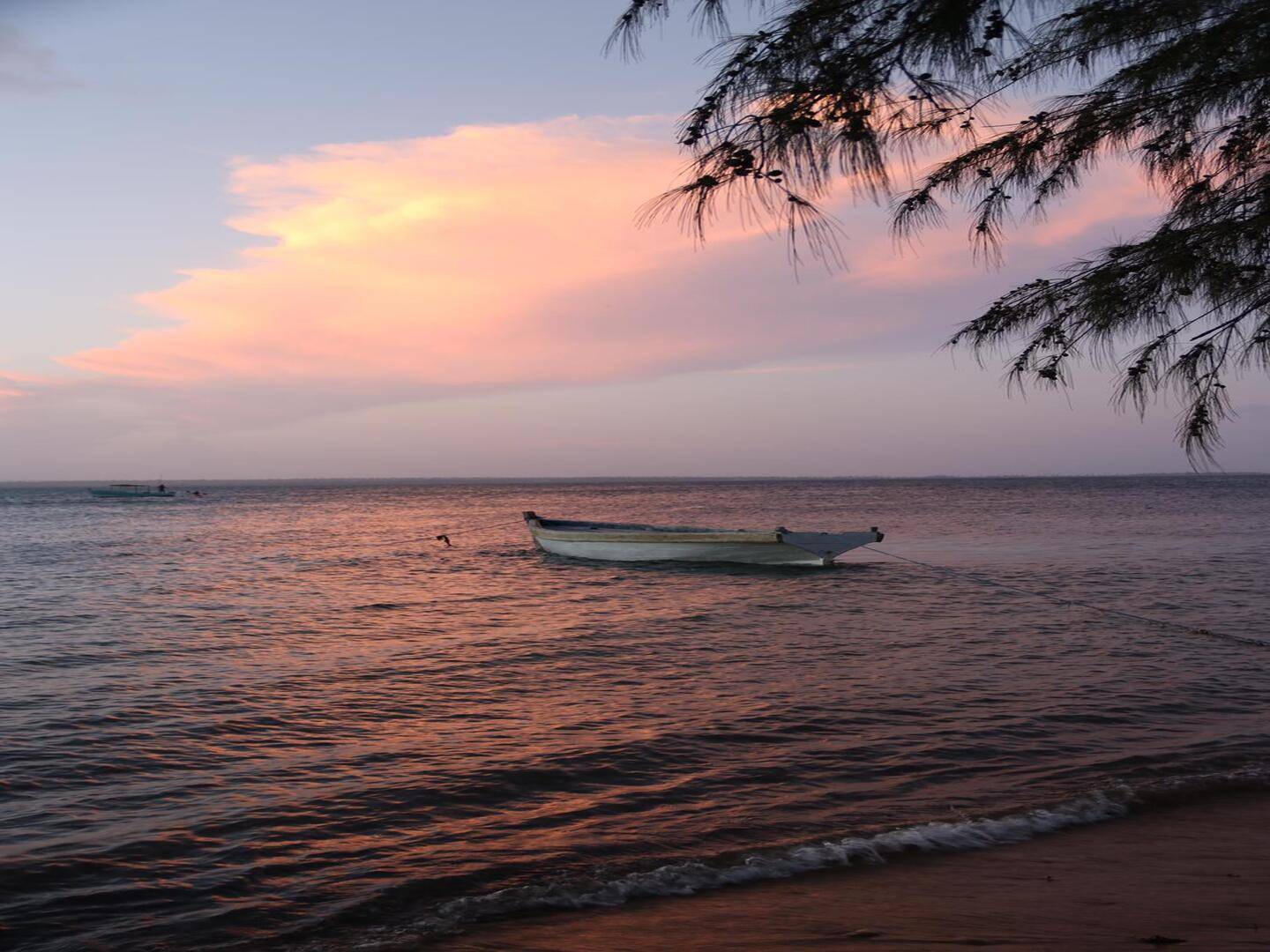 Le Cap et le sud du Mozambique en immersion francophone pour une découverte inoubliable