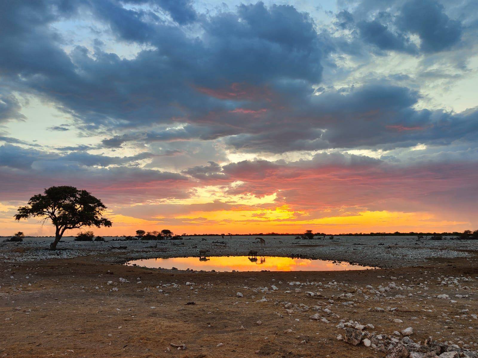 L'altro lato della Namibia: Scoperta Fuori Stagione