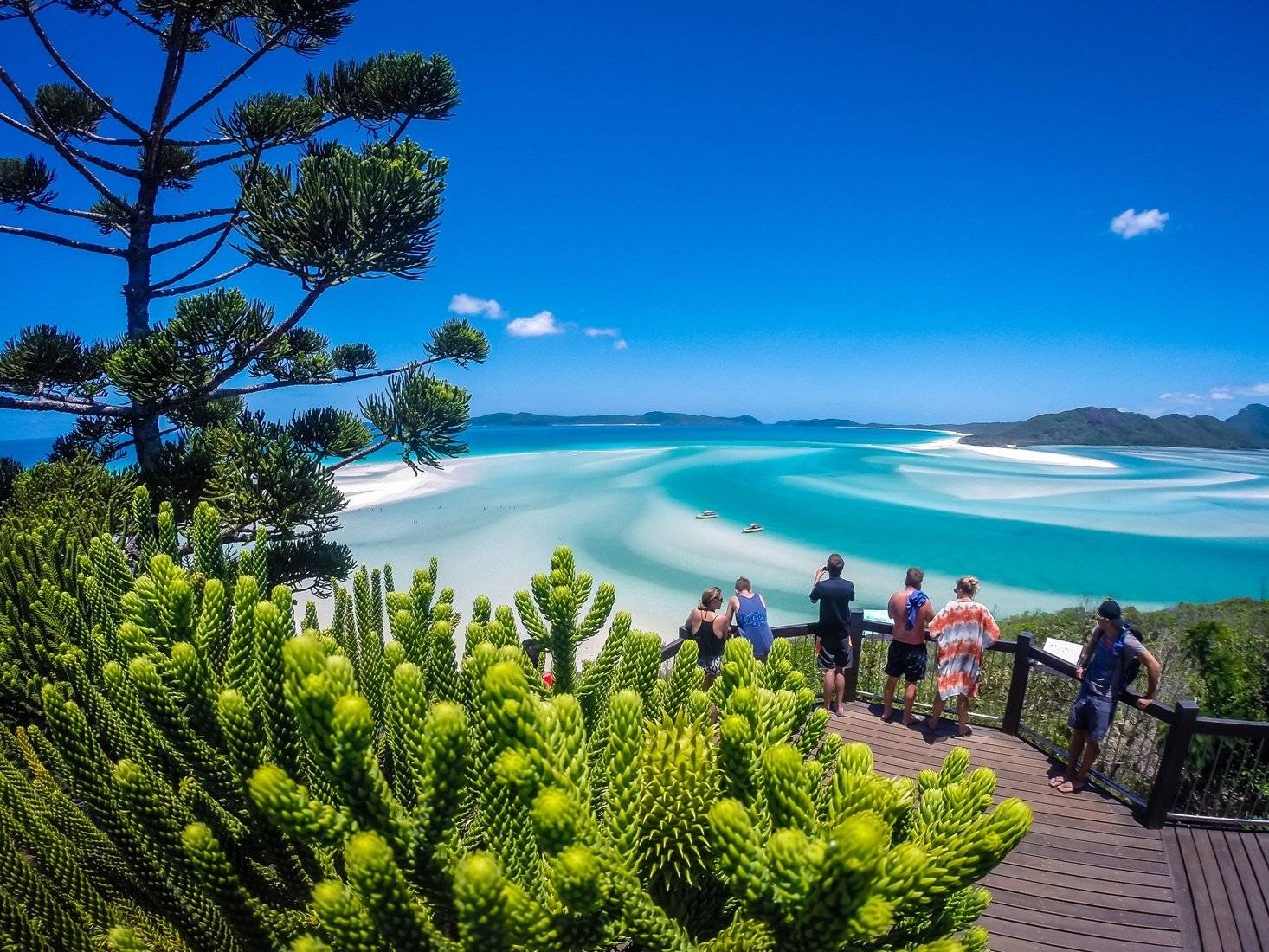 Découvertes de la côte Est : de Sydney à Cairns