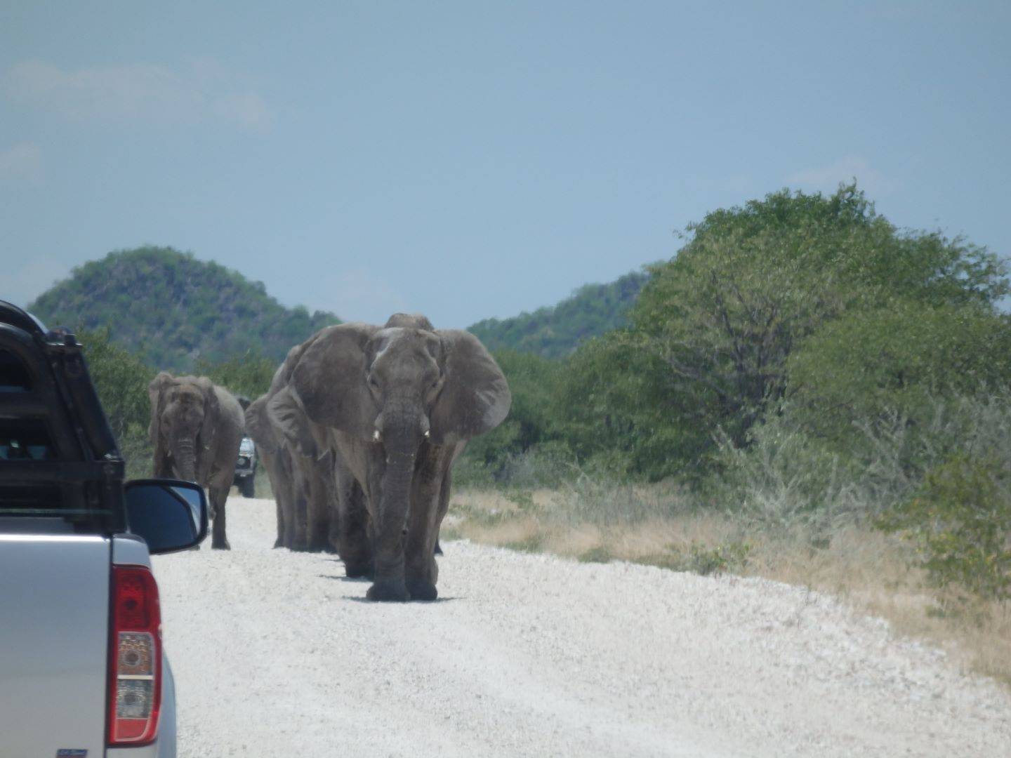 Les indispensables : Du désert aux safaris sauvages