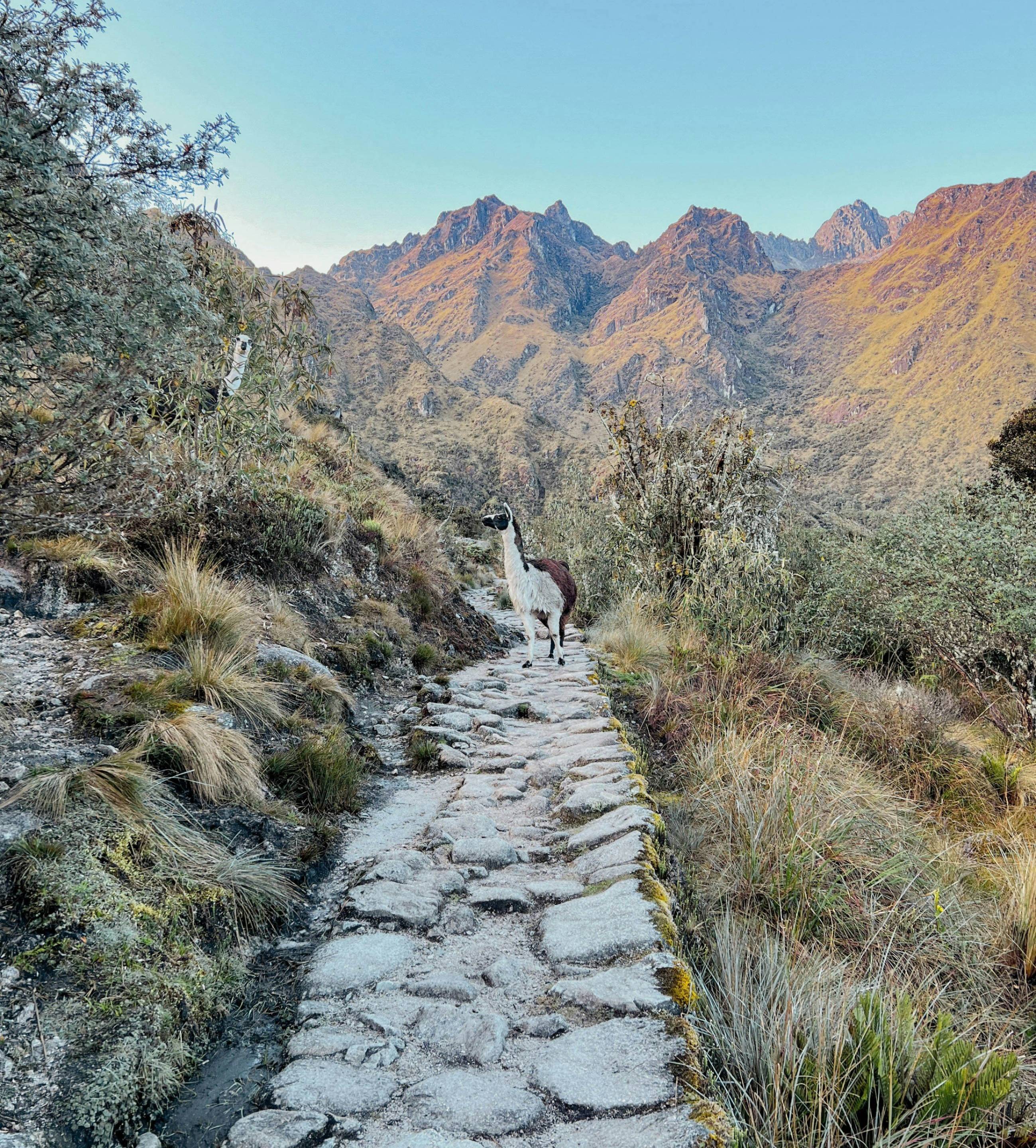 Aventure andine en famille, de Machu Picchu au désert d'Uyuni