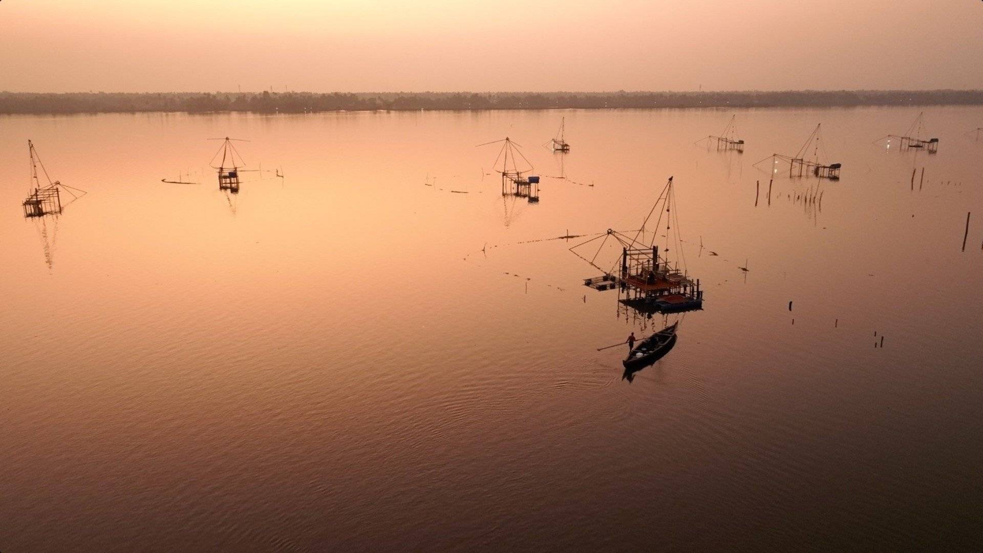 La culture de Cochin, la nature du parc national de Periyar et les backwaters d'Alleppey