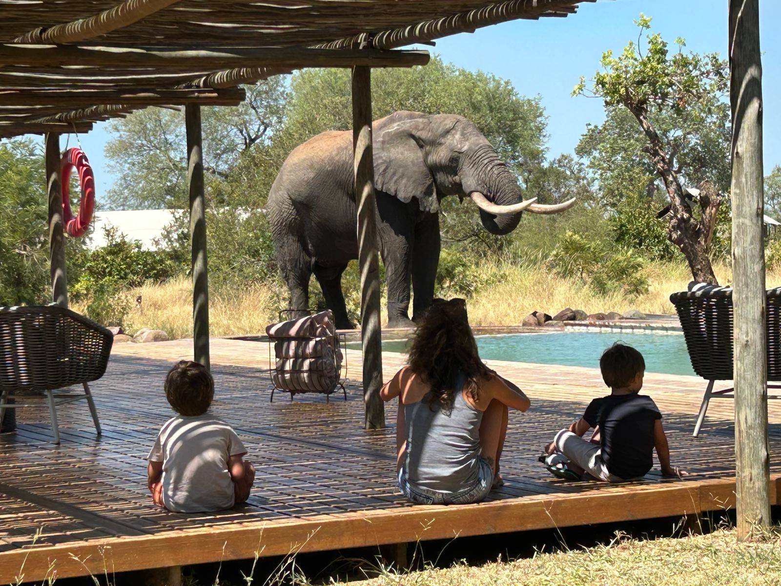 Parc Kruger et Cape Town en famille