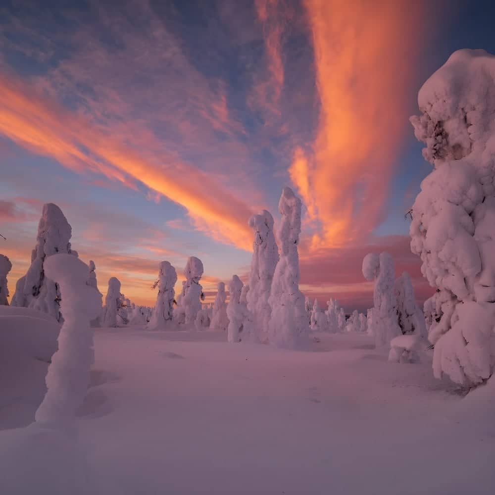 Luleå, une parenthèse arctique !