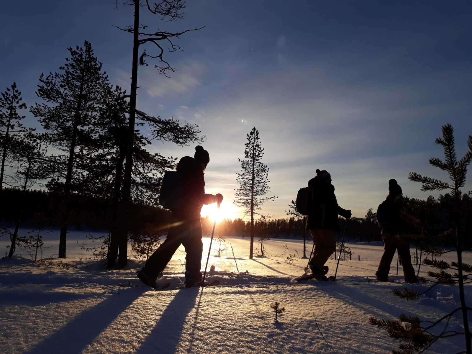 Évasion nordique en raquettes : forêts et cascades gelées en petit groupe