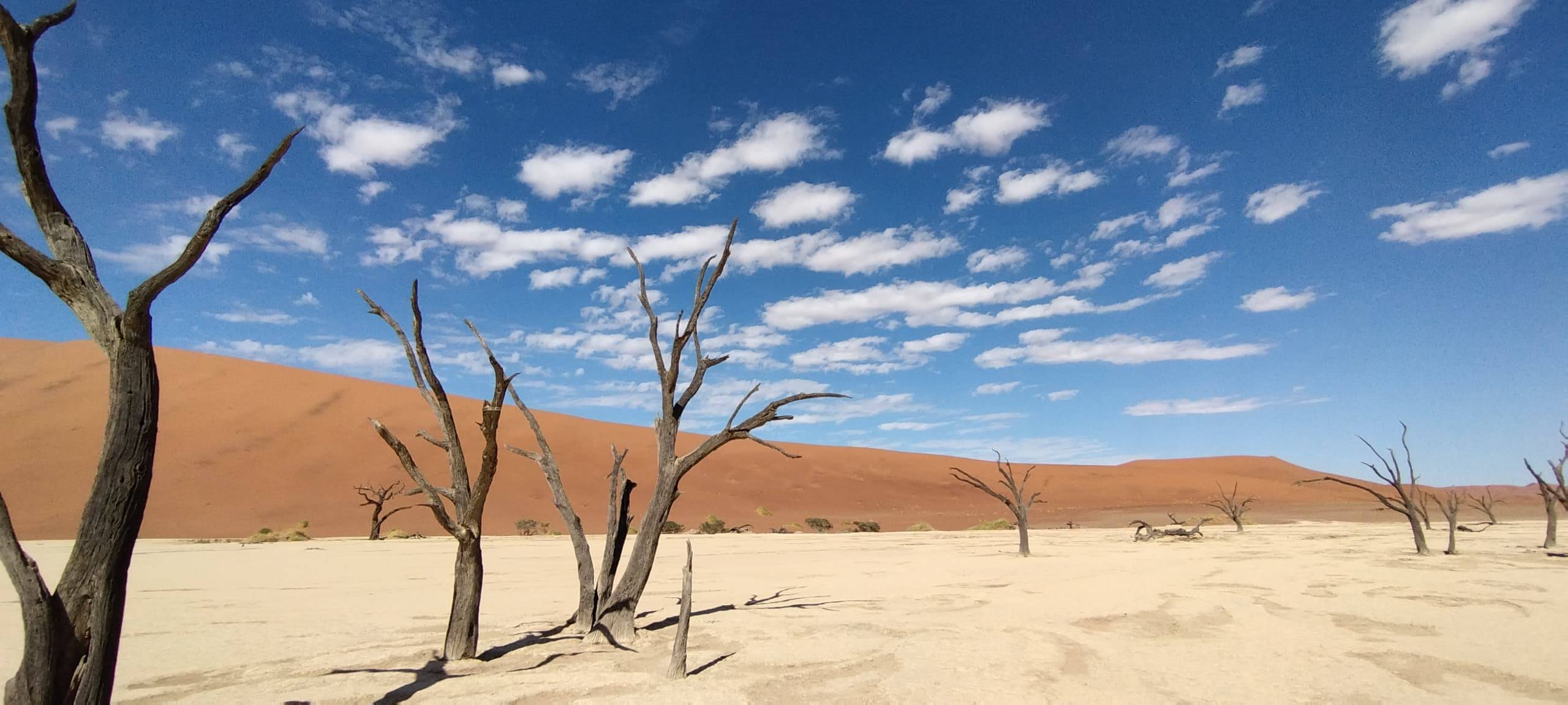 Fuga di Lusso e Natura tra Dune e Fauna Selvaggia