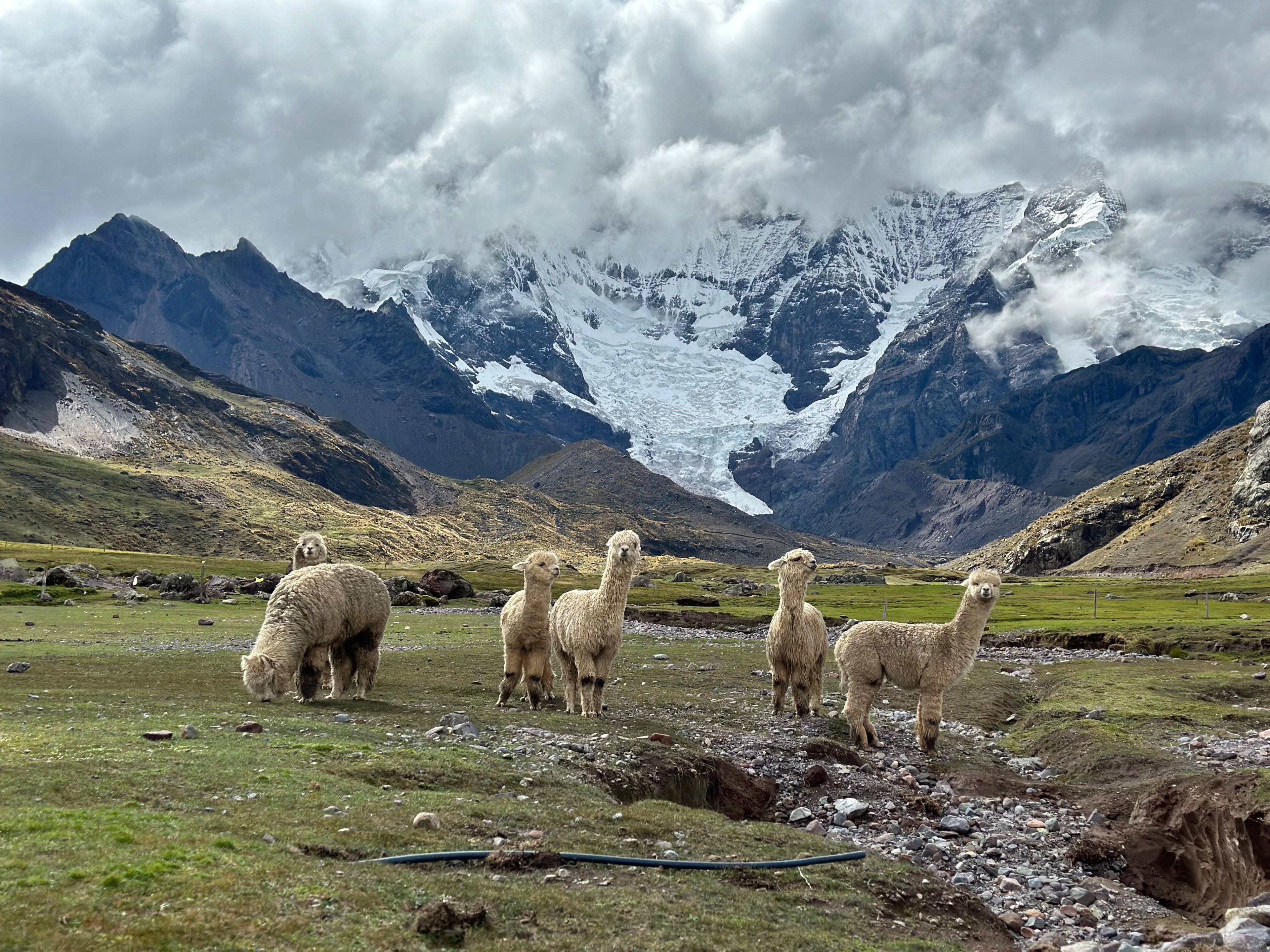 Maravillas Andinas: Colca, Titicaca, Machupicchu y Ausangate