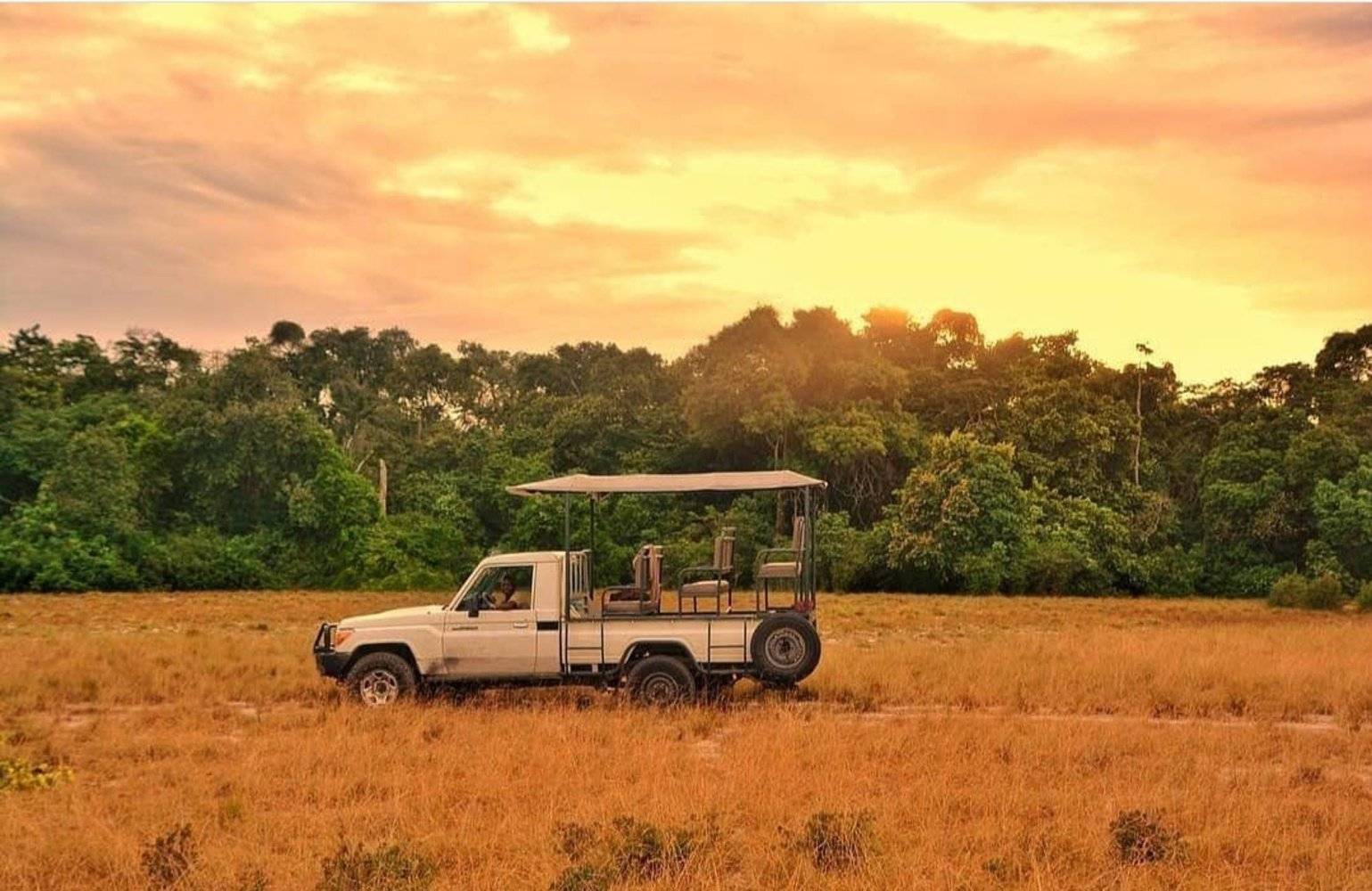 Savanes, forêts et villes, le Gabon dans toute sa diversité