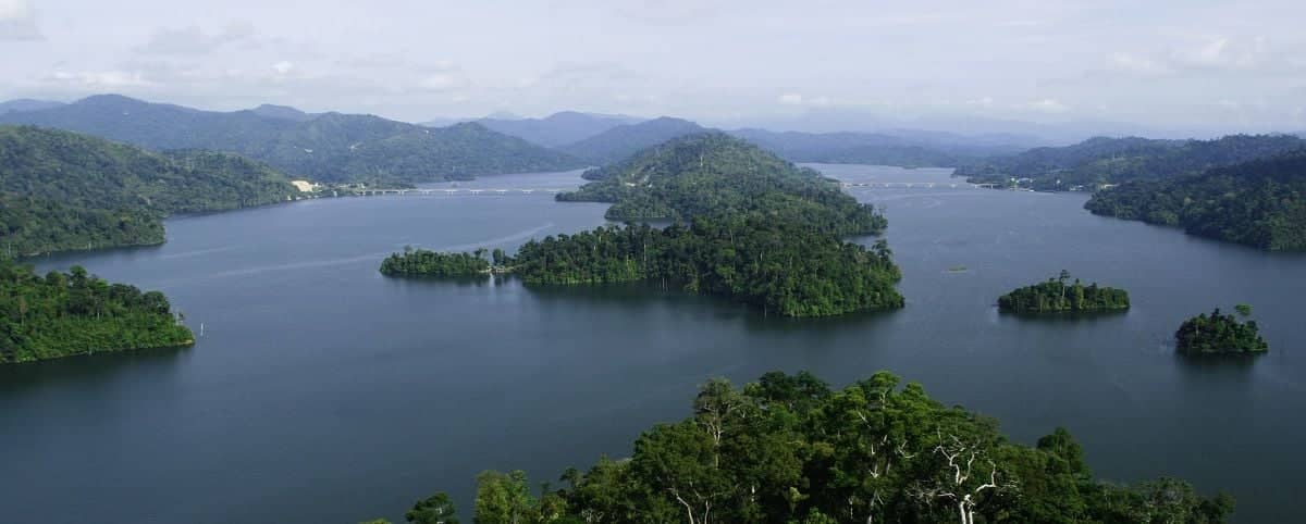 Des parcs nationaux de la péninsule aux plages paradisiaques de l'île de Redang