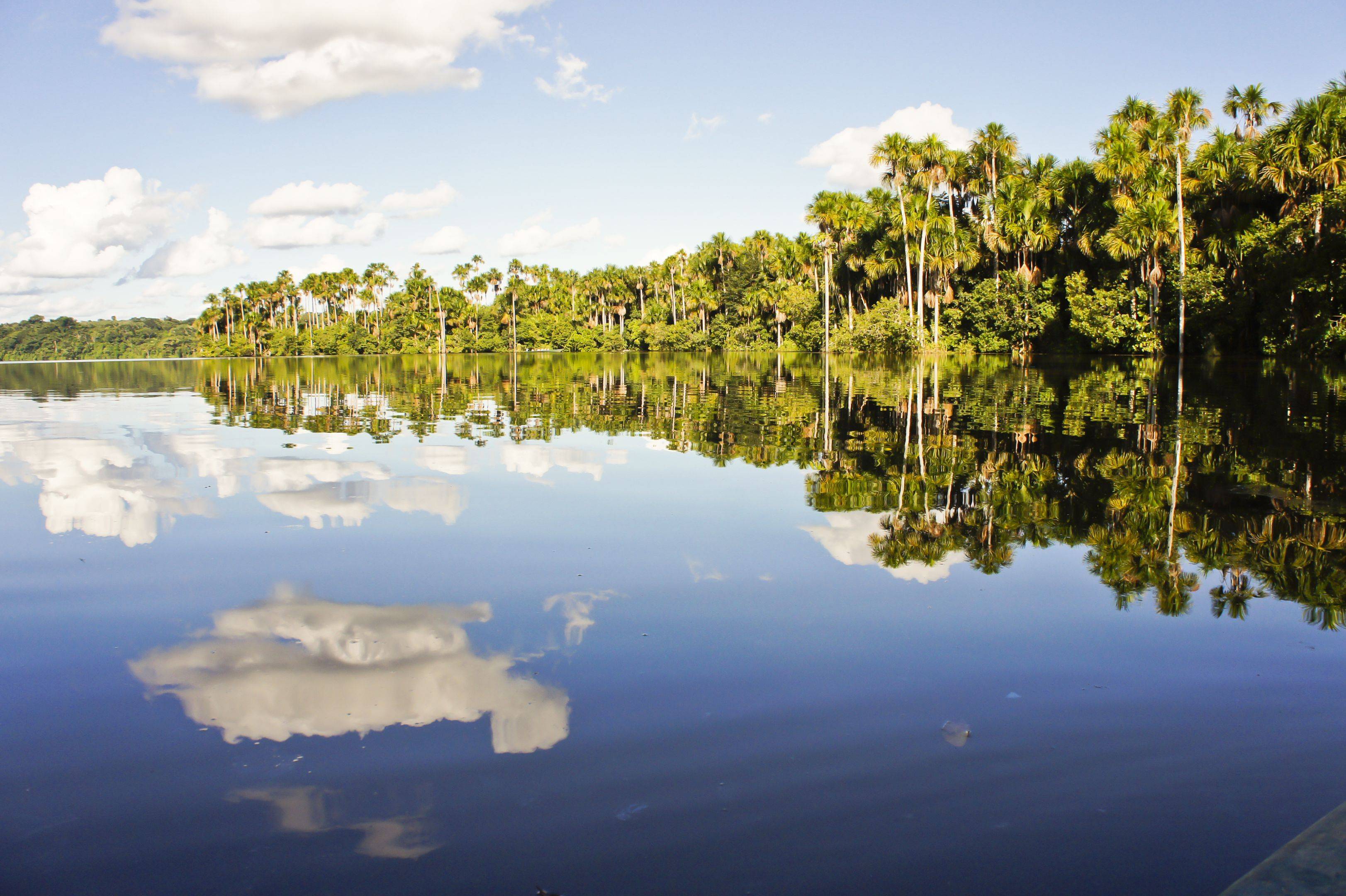 Terres sacrées et Amazonie