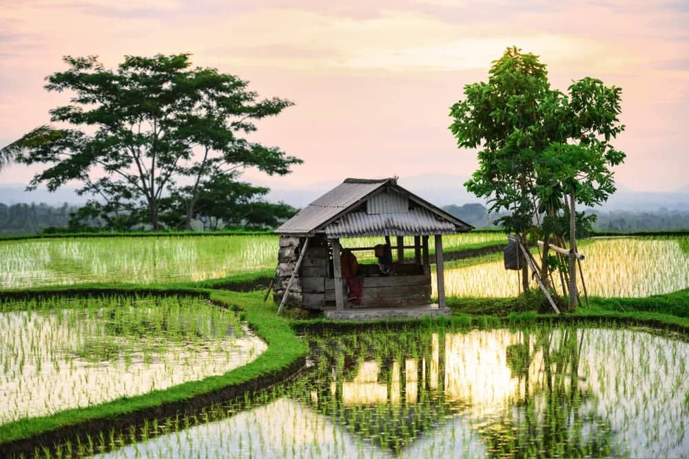 Steden en stranden op Java en Bali