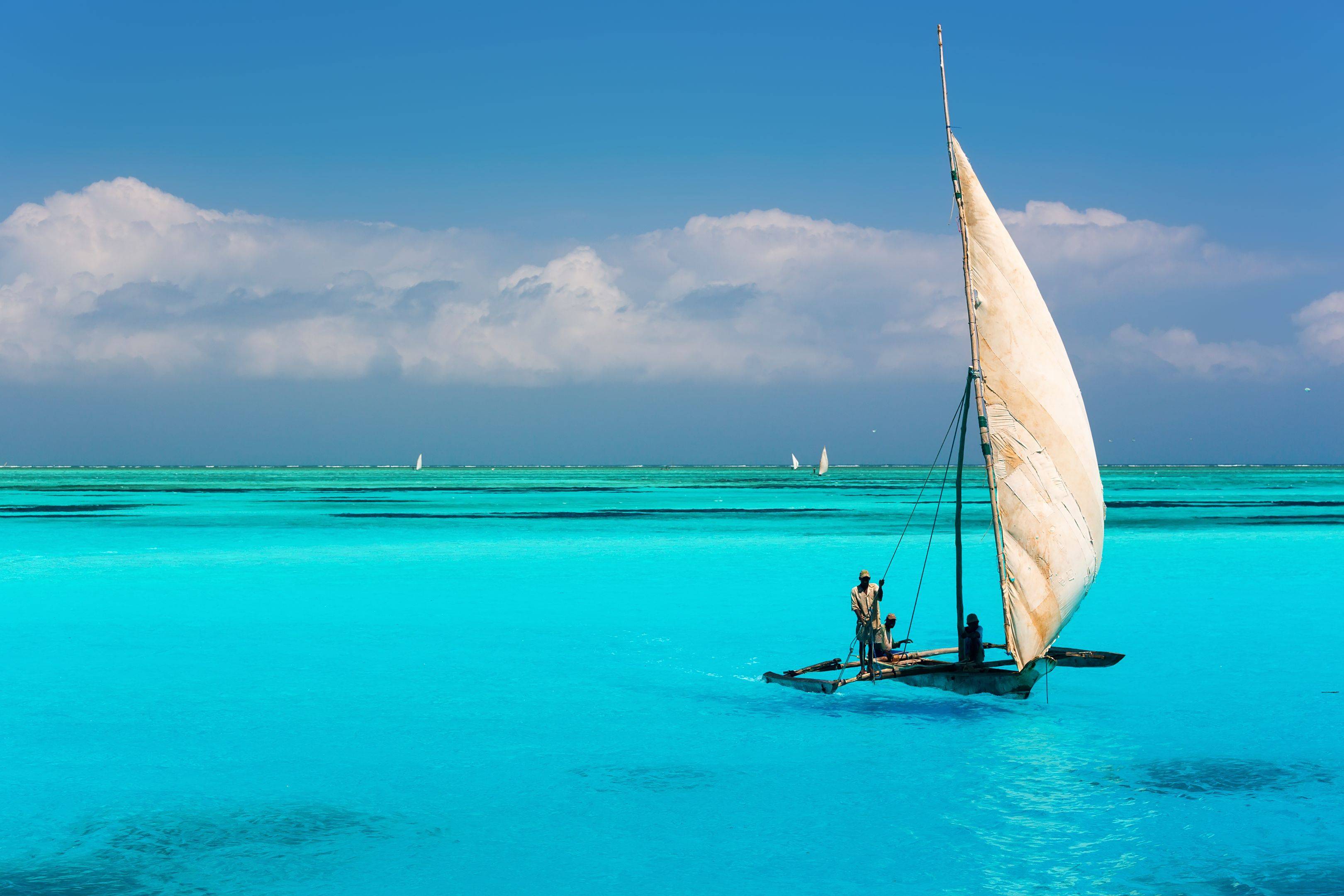 Un rêve entre savane et plage