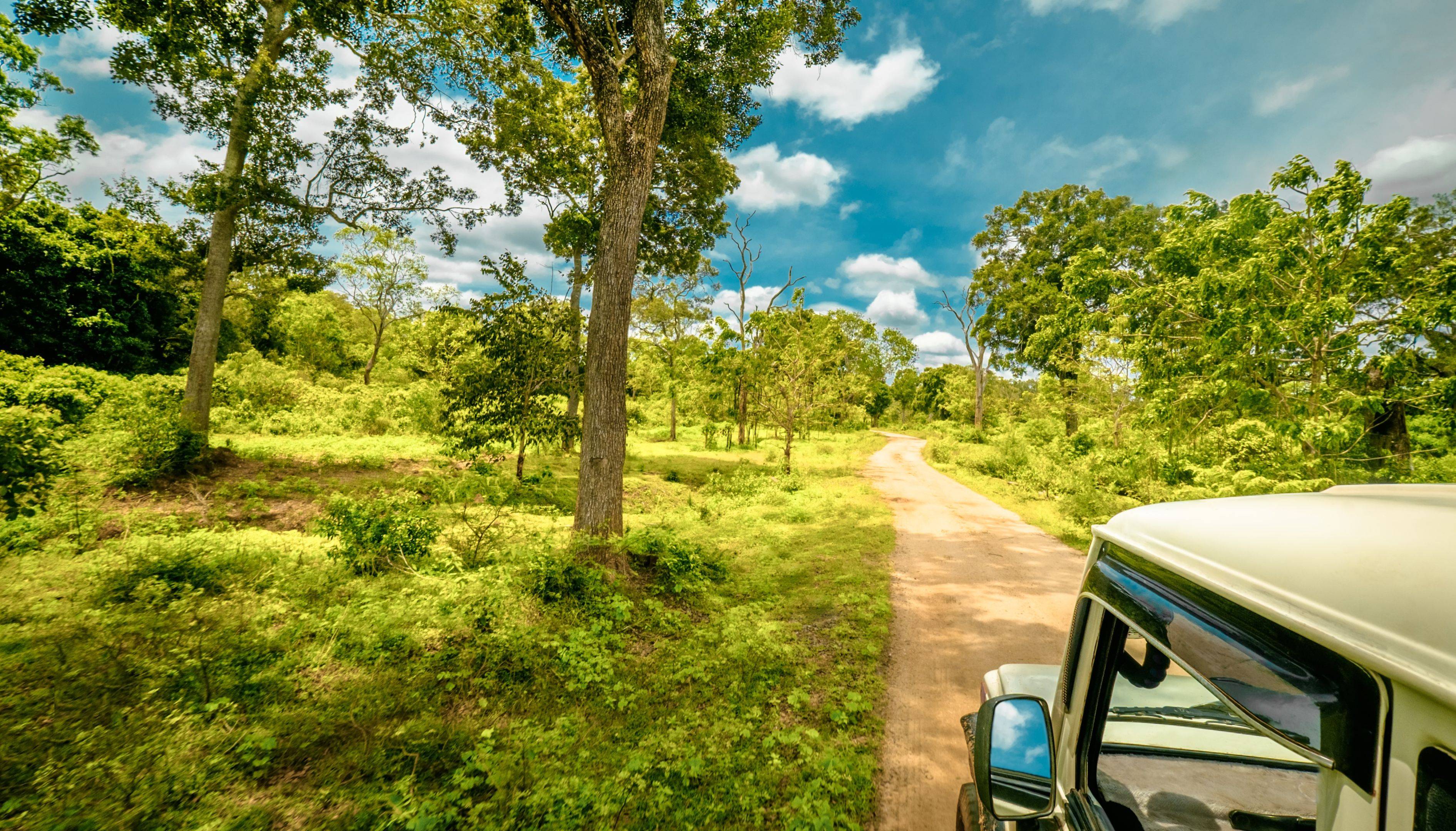 Safari Naturaleza del Sur de Sri Lanka