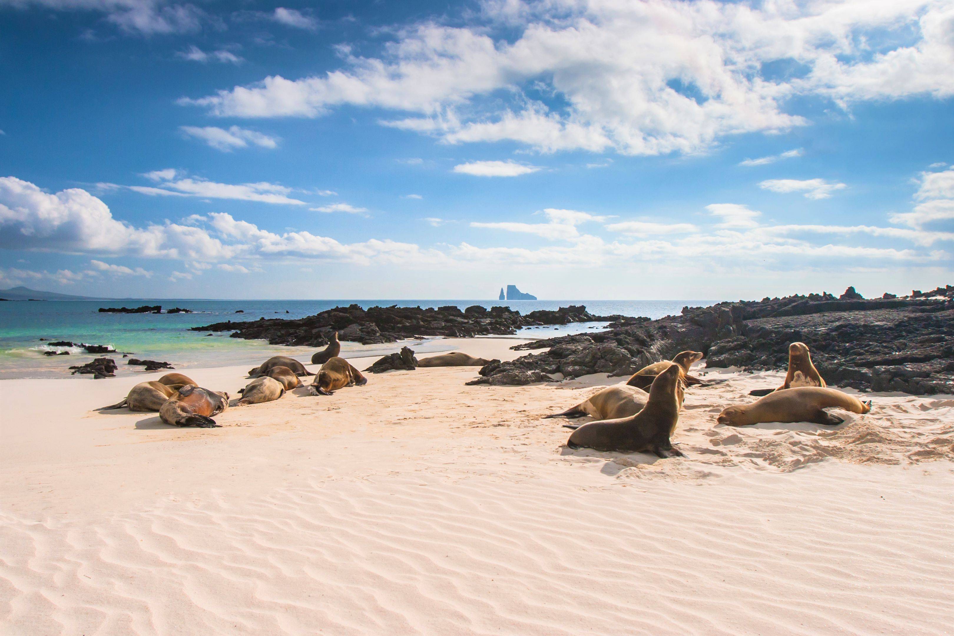 De isla en isla en las Galápagos