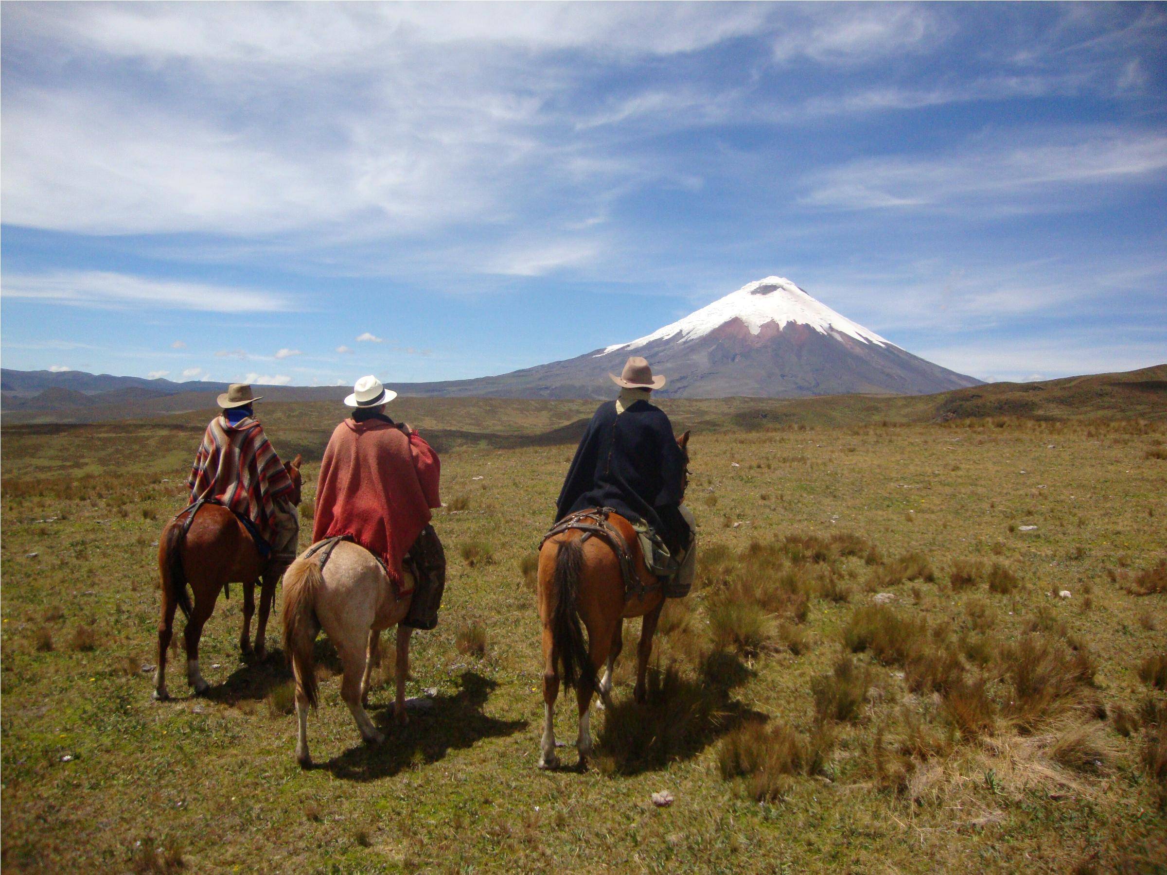 Émotions en groupe sur la cordillère