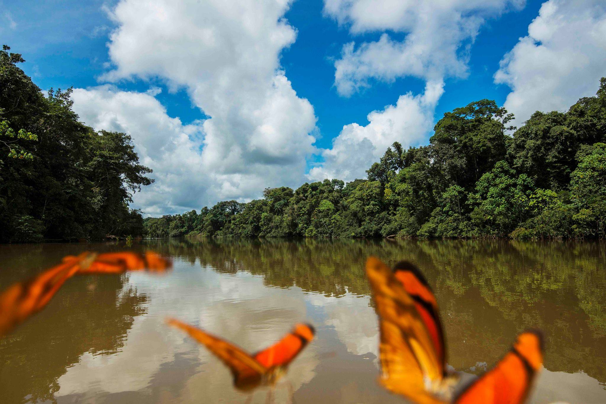 De Lima jusqu'à l'Amazonas