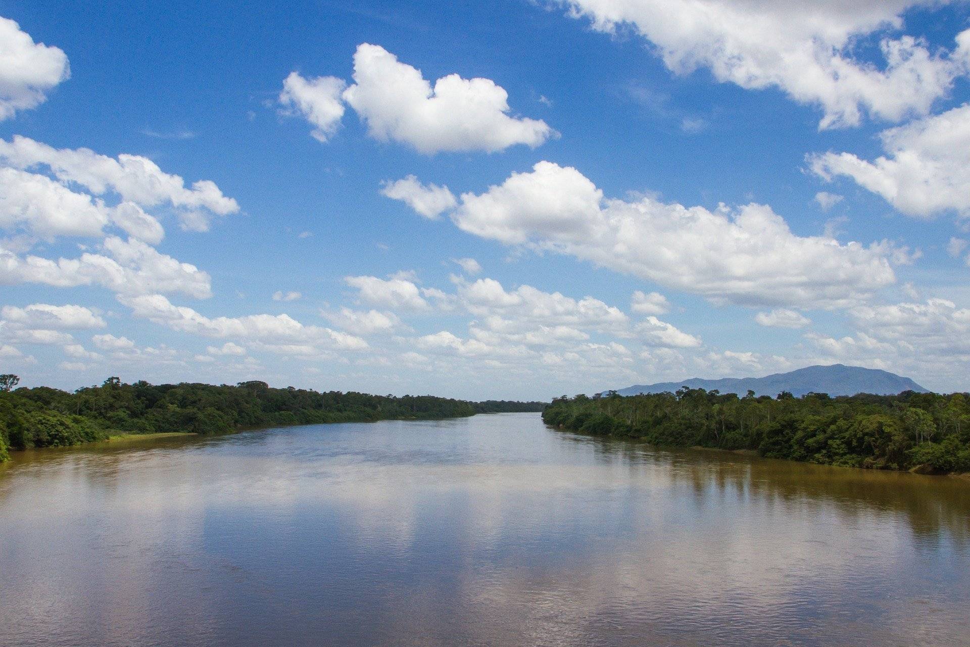 Amazonie et détente sur la côte