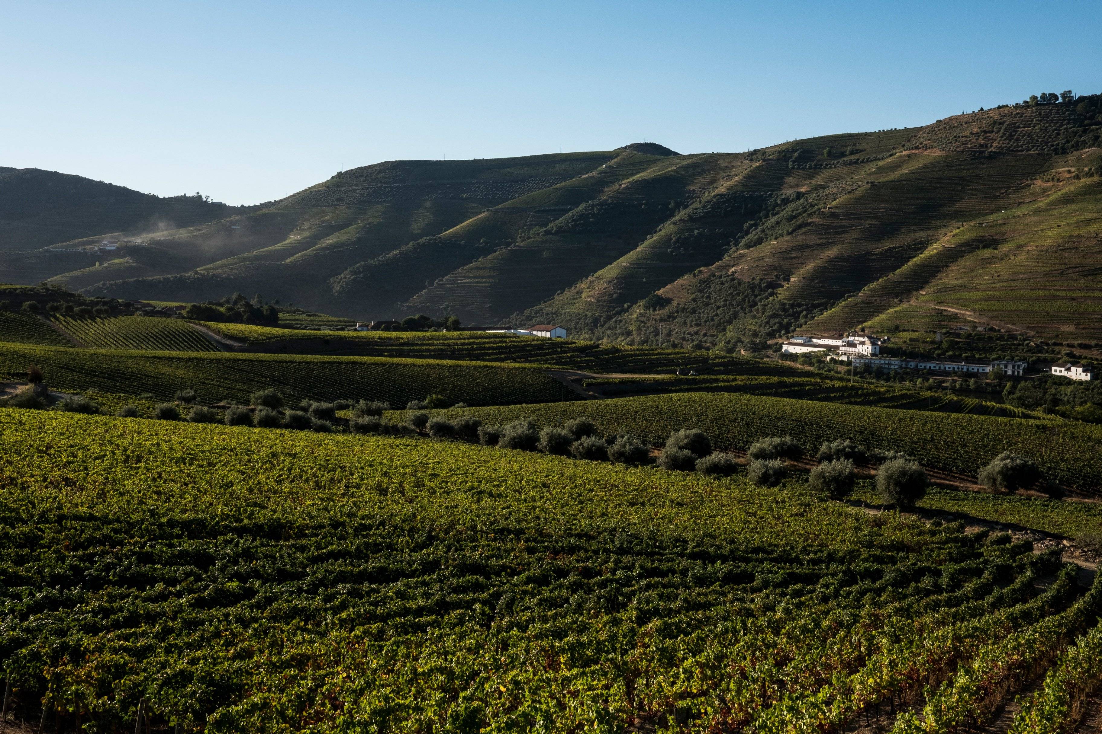 Kultur in Porto und Weinberge im Douro-Tal