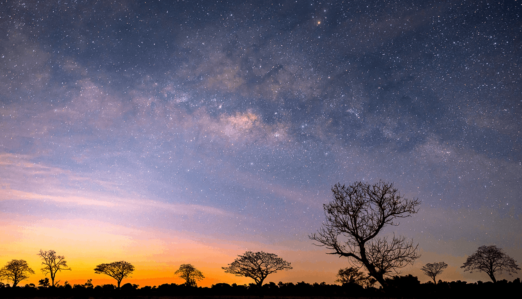 Escapade romantique sous les étoiles Kenyanes