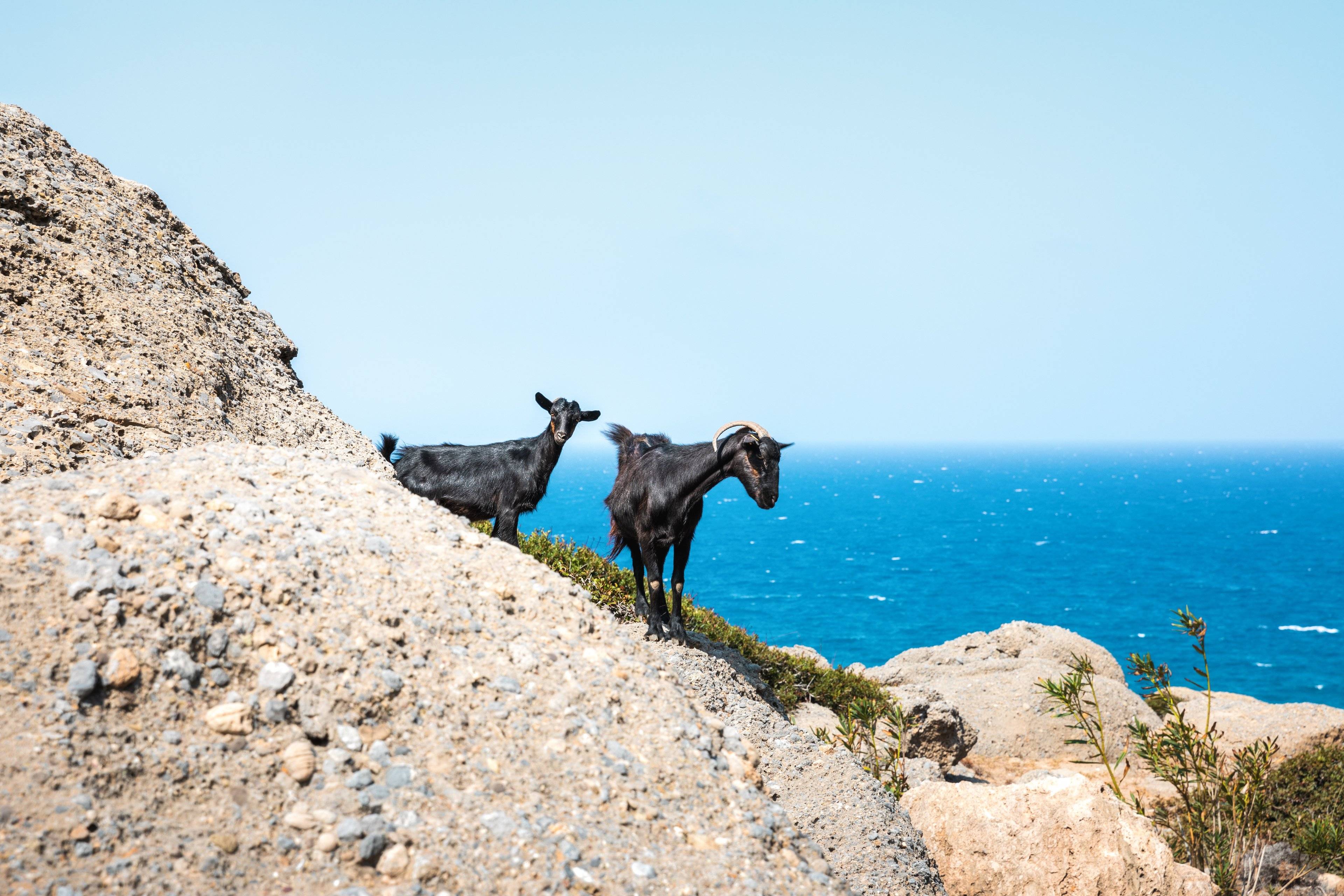 Le Cicladi autentiche : Tinos, Syros e Kea