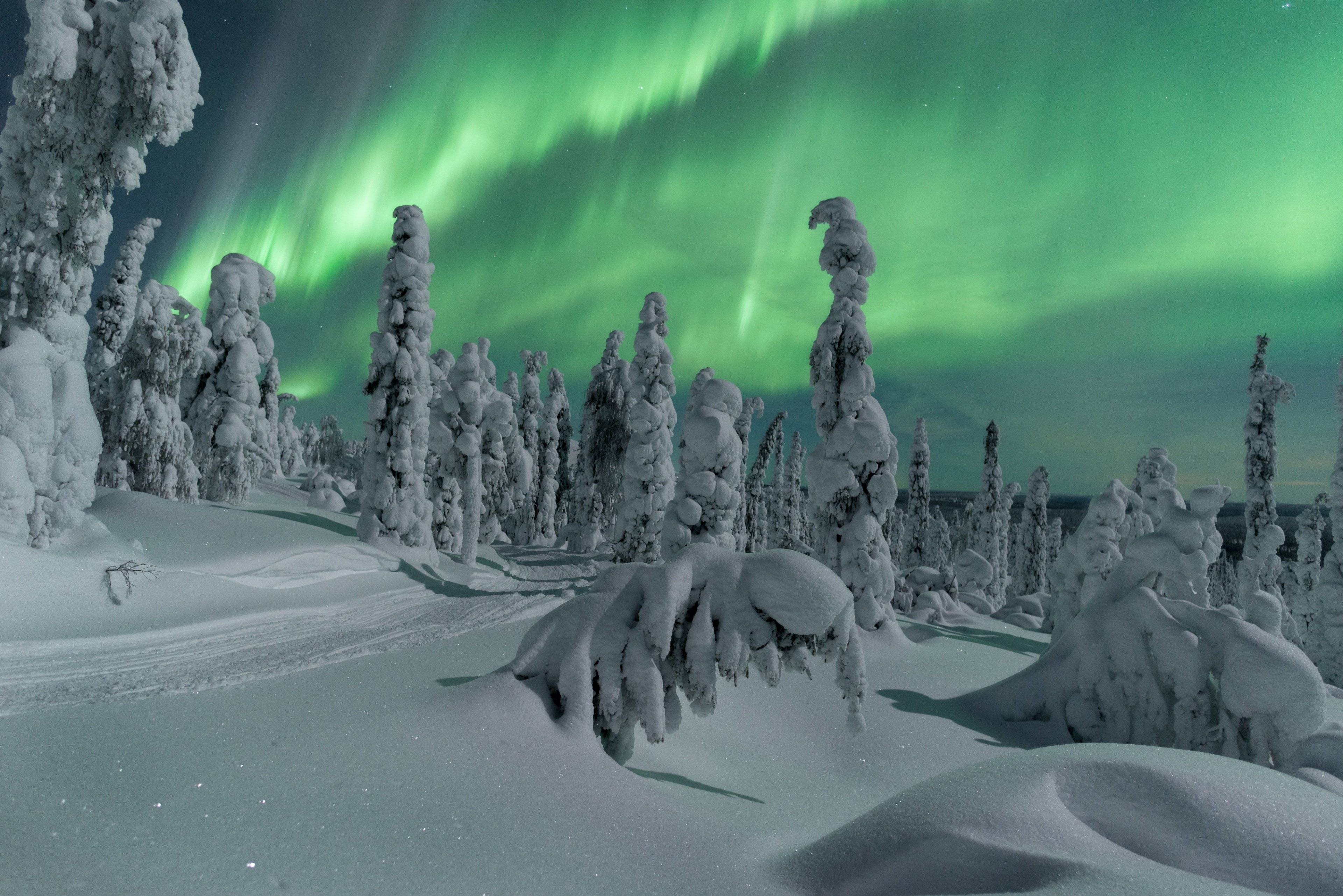 Explorando las Maravillas de la Aurora Boreal: Una Aventura Inolvidable en el Norte de Laponia