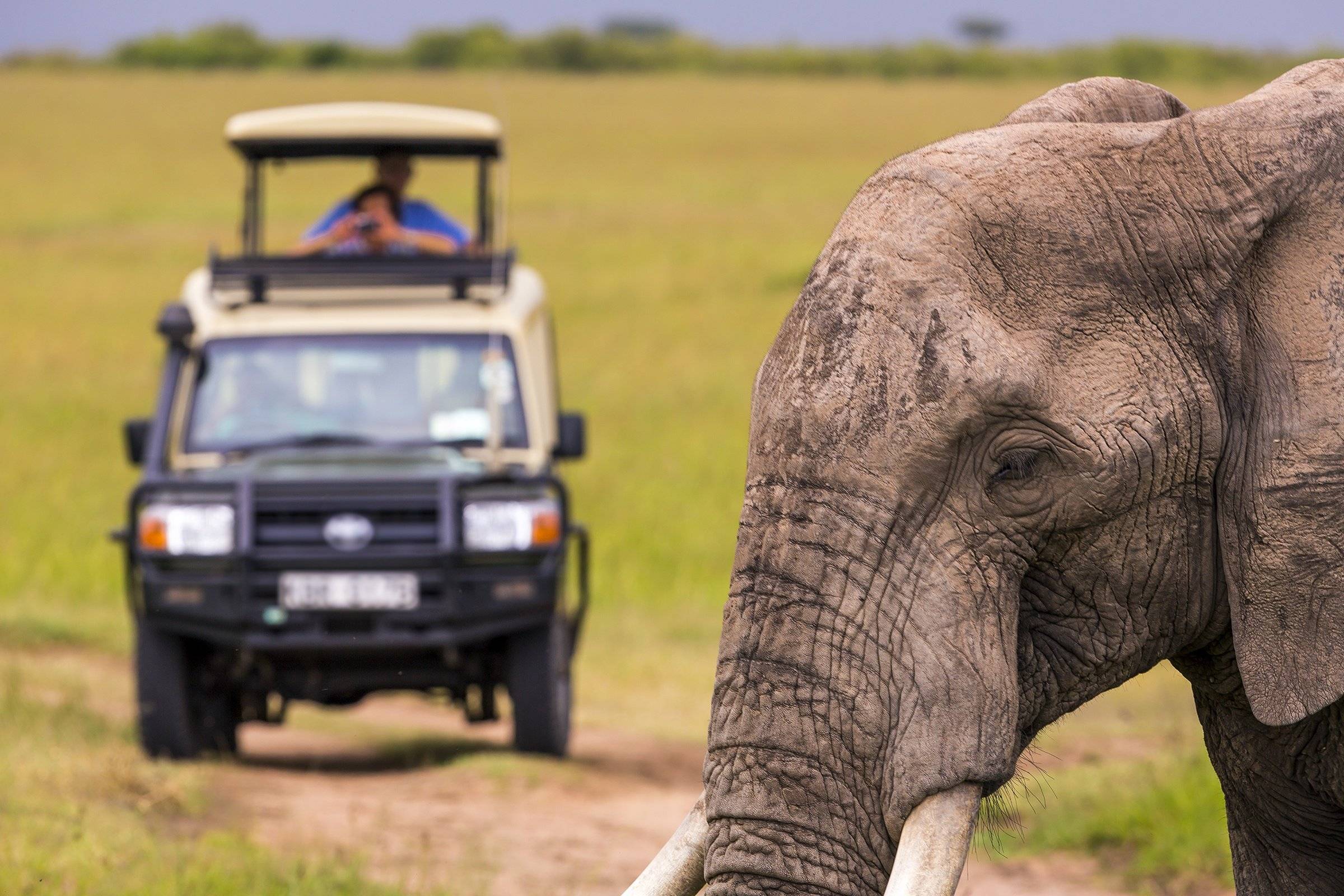 Sur les pistes tanzaniennes et dans les plaines du Serengeti