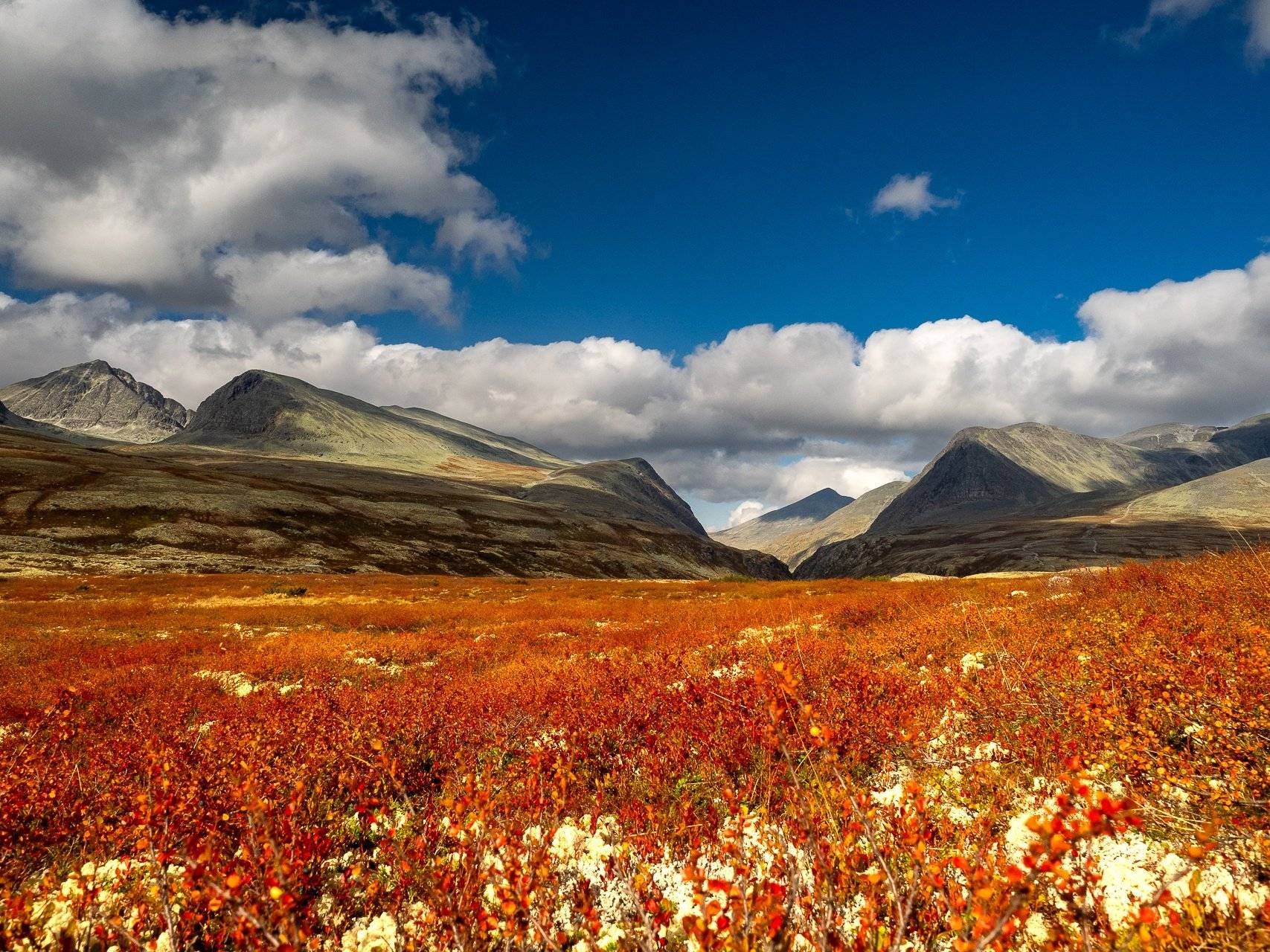 Couleurs d'automne entre montagnes et fjords