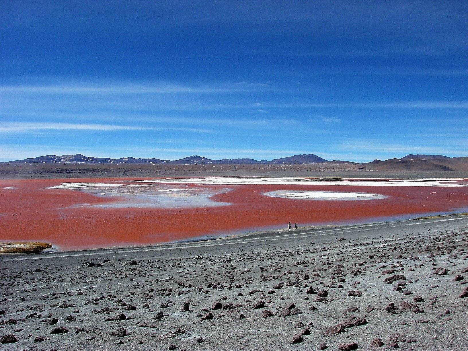 Tra l'Atacama e la Bolivia