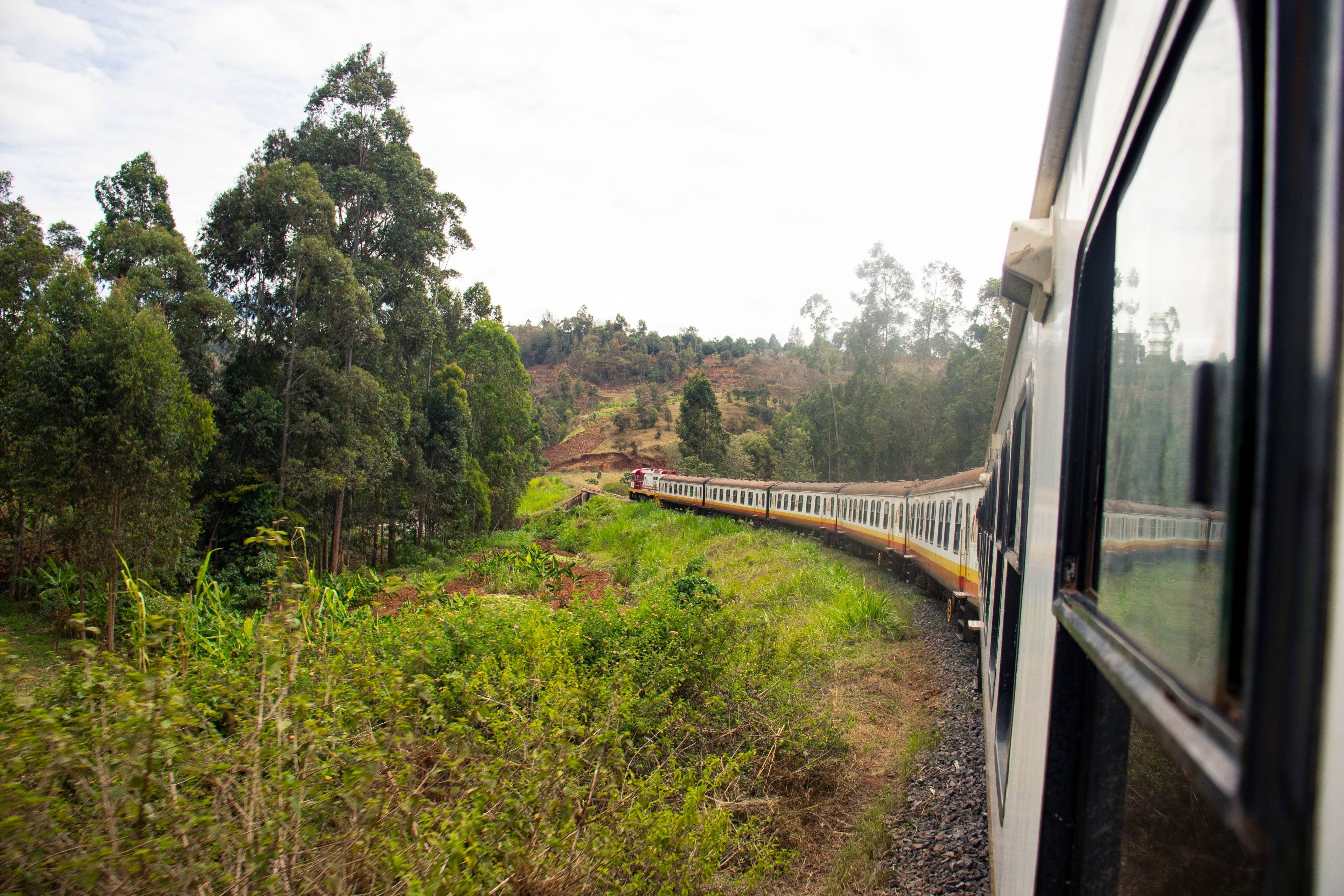 Aventura en el Tren Lunático, Tsavo, Amboseli, Naivasha y Masai Mara