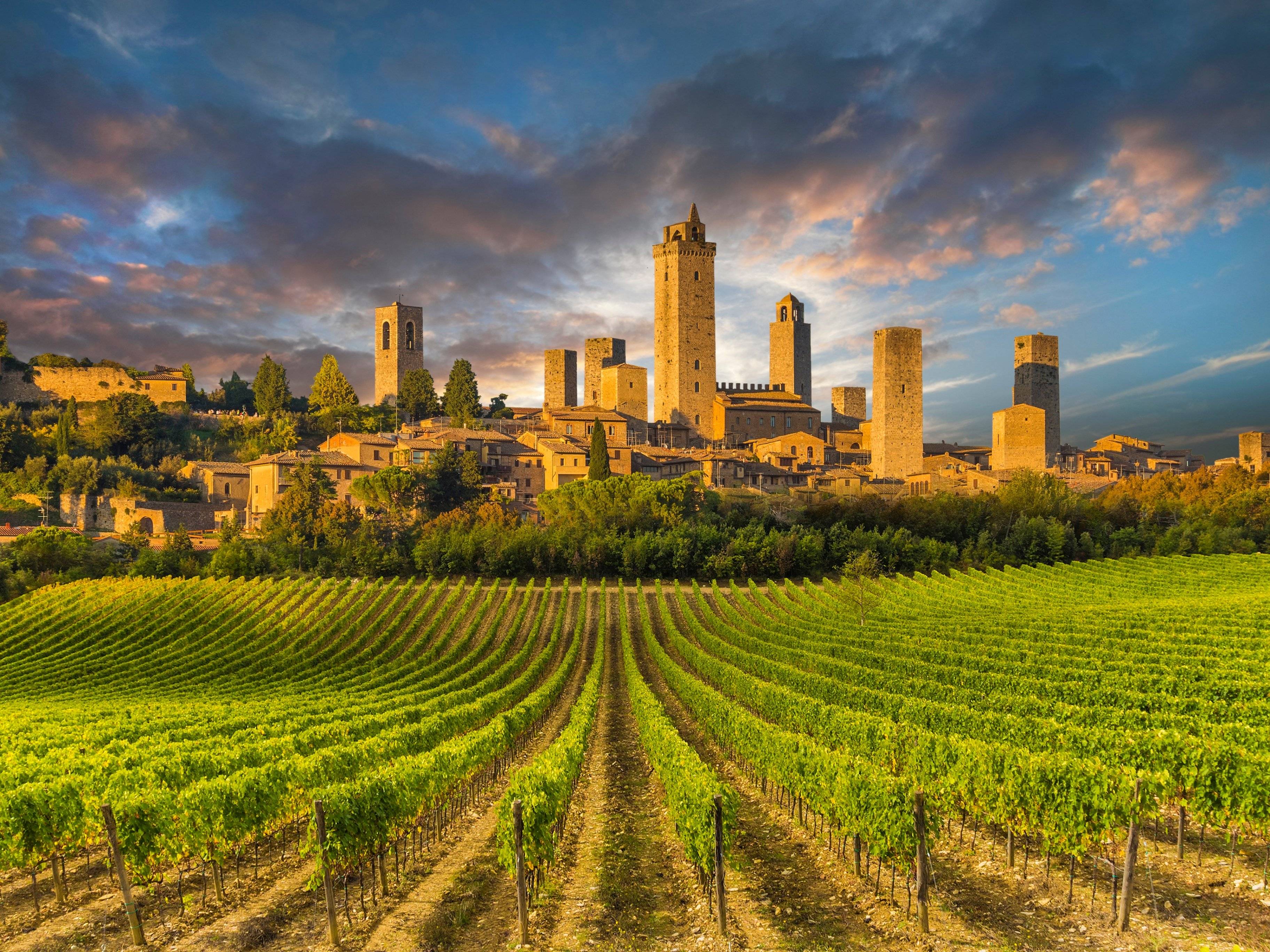 Toscane : un voyage entre art et vignobles