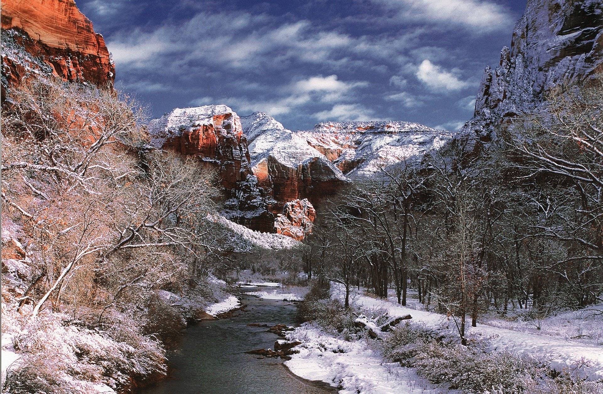 Winter in den Canyons